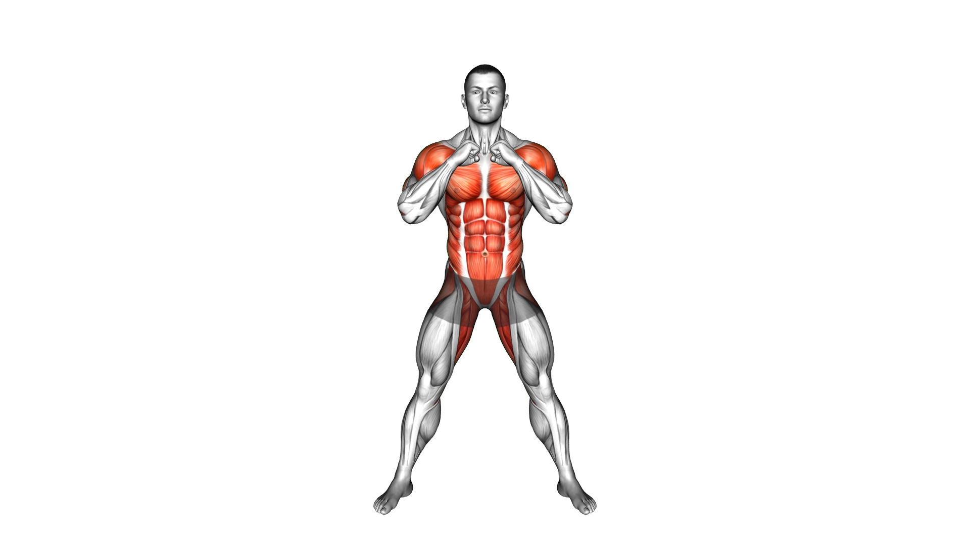 Side to Side Punches exercise demonstration