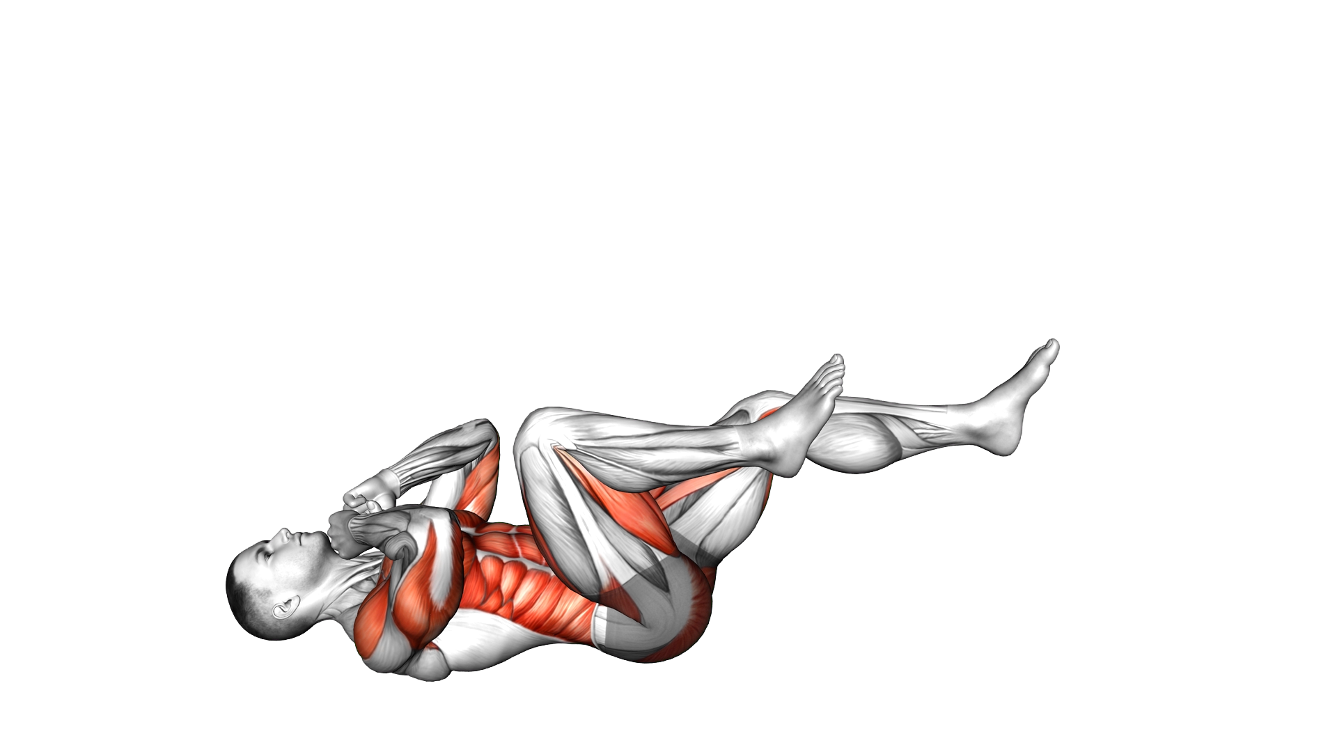 Lying Cycle Punches exercise demonstration