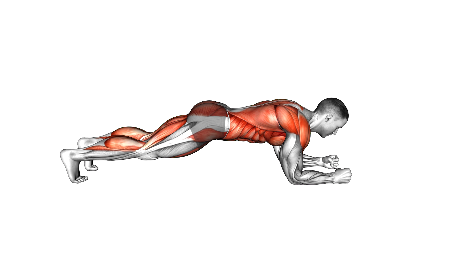 Plank Hands Tap Feet Tap exercise demonstration