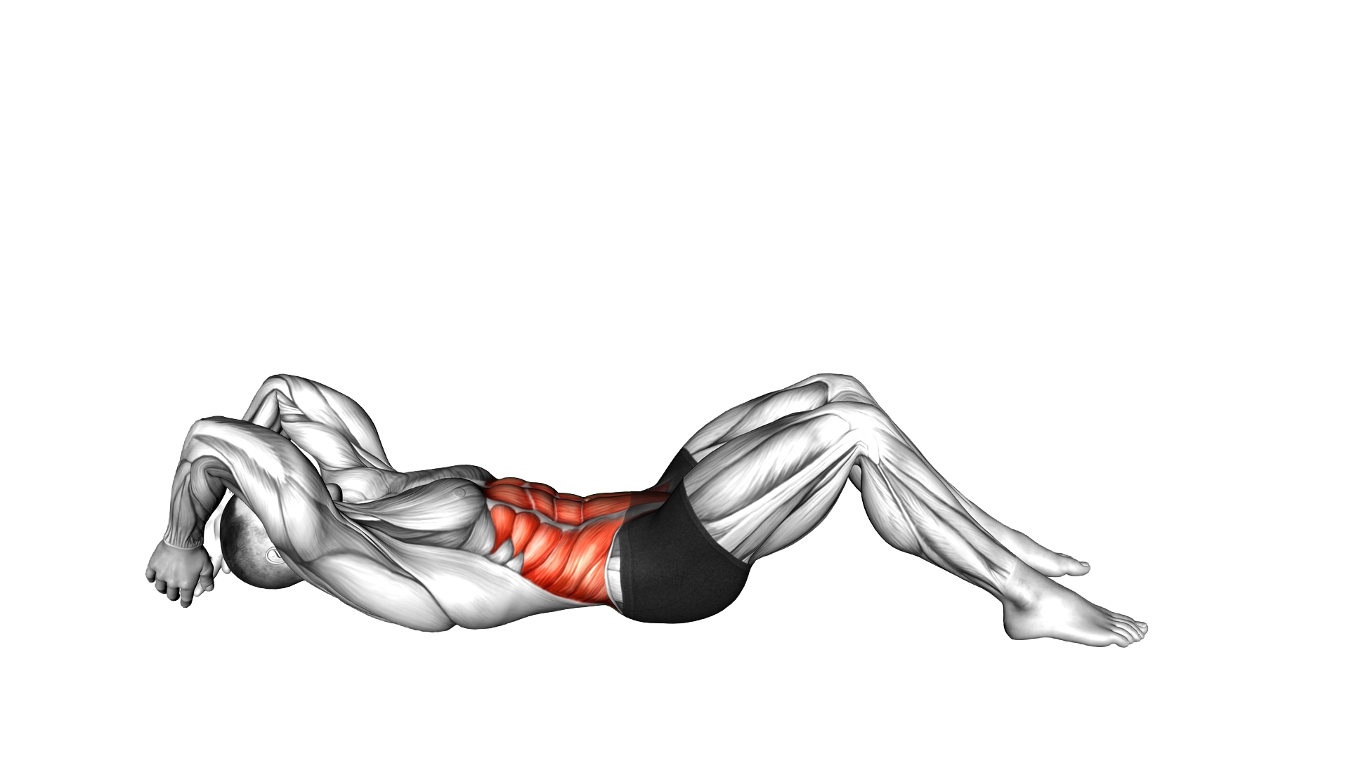 Fast Sit Up Slow Down exercise demonstration