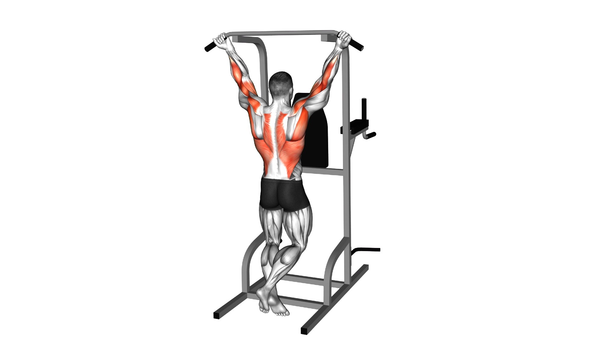 Wide Chin Up exercise demonstration