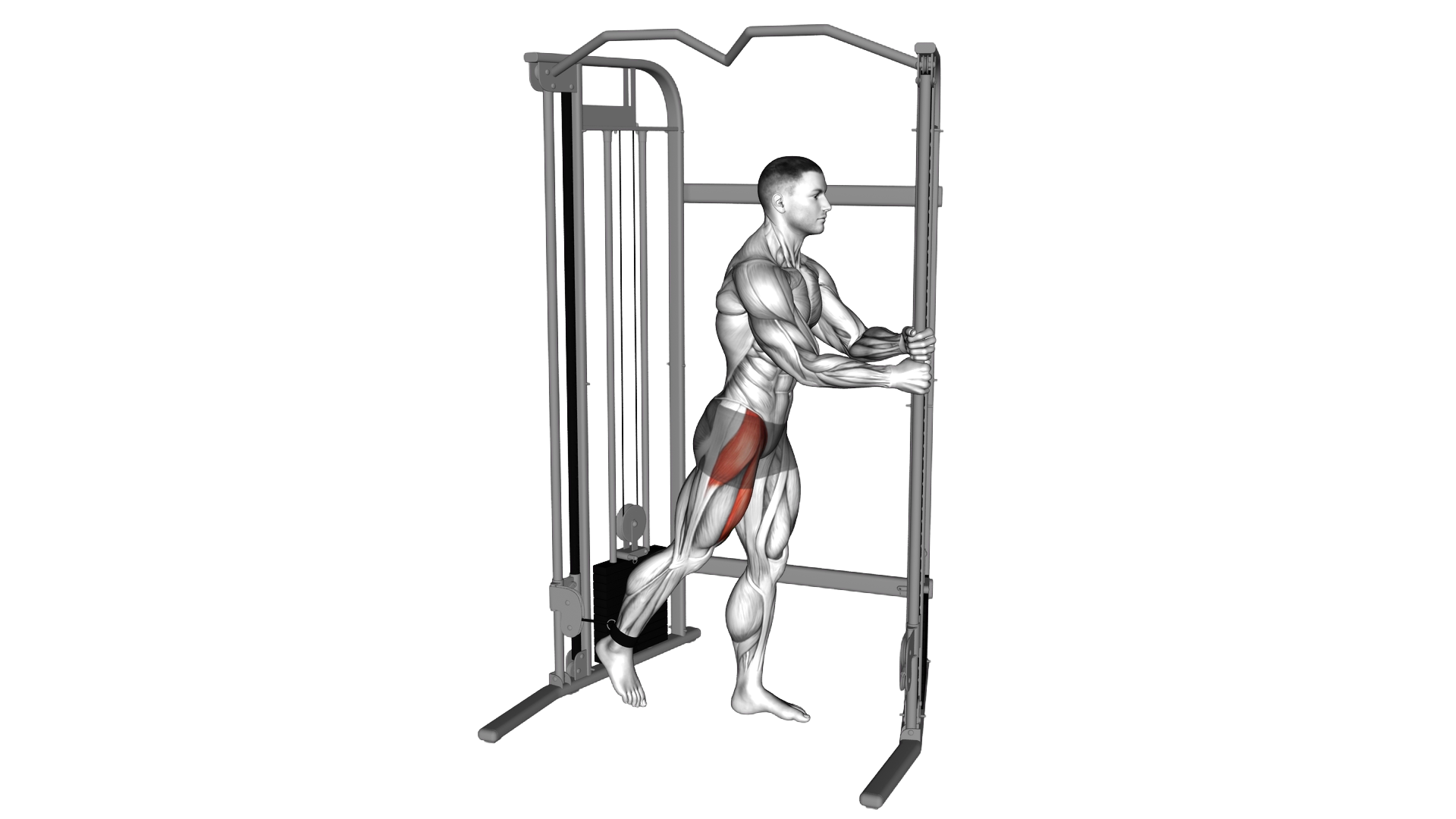 Cable Standing Hip Flexion exercise demonstration