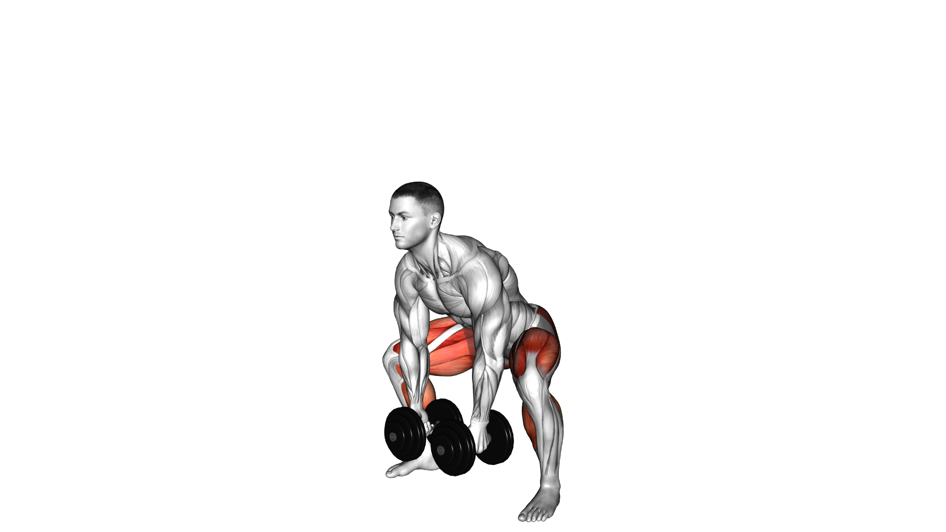 Dumbbell Sumo Deadlift exercise demonstration