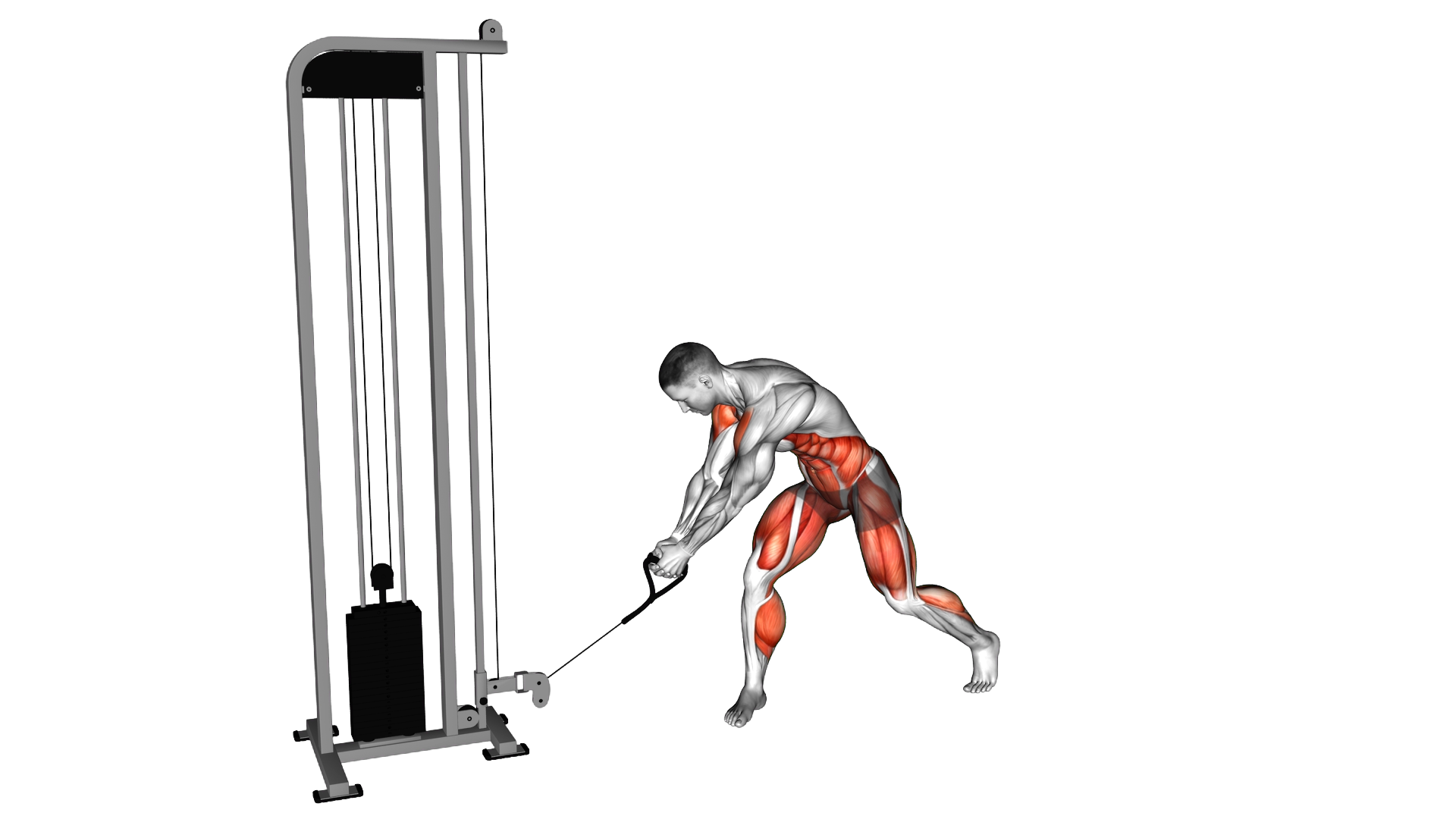 Cable Reverse Woodchop exercise demonstration