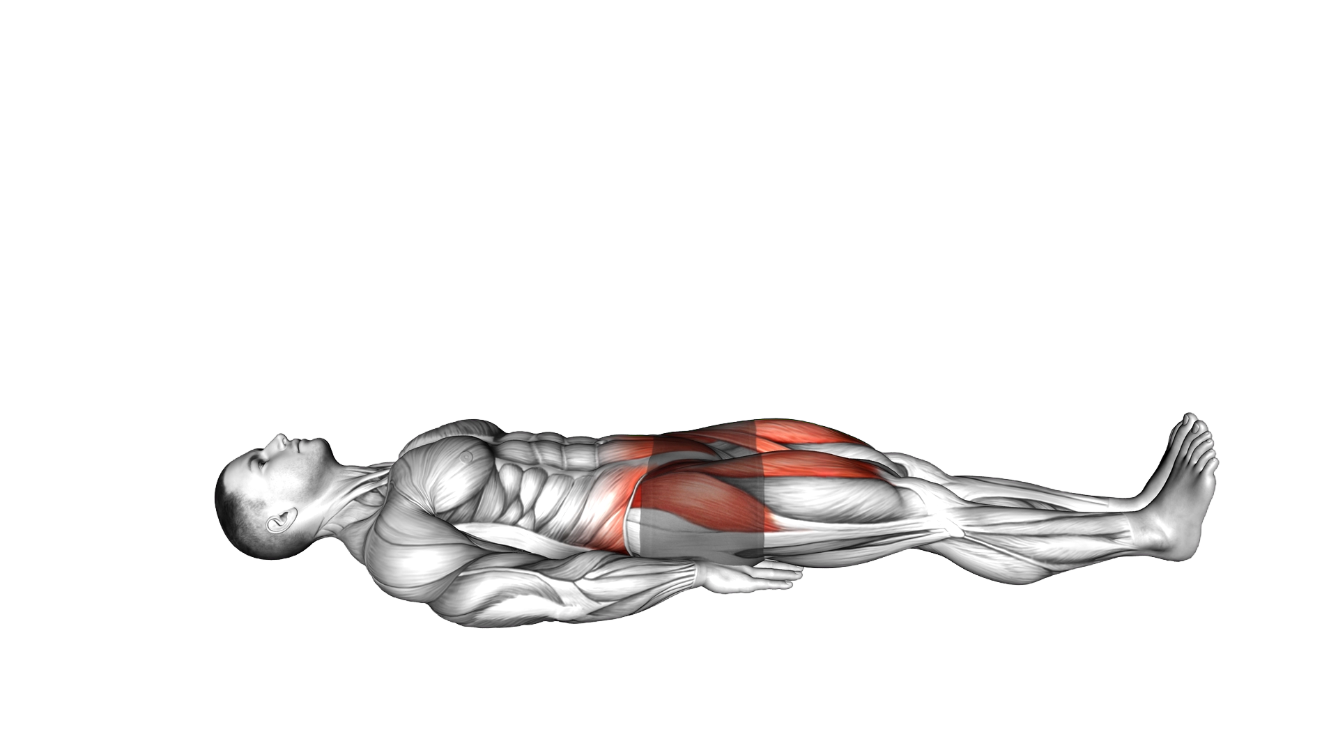 Lying Knee Raise exercise demonstration