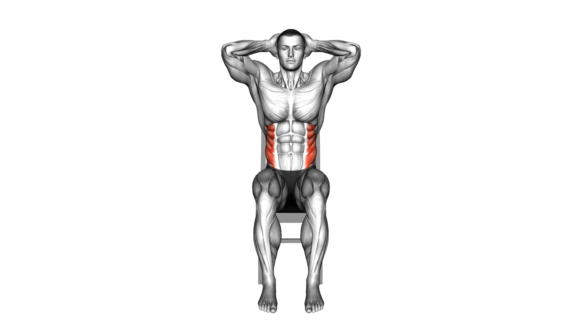 Sitting Side Bend on a chair exercise demonstration