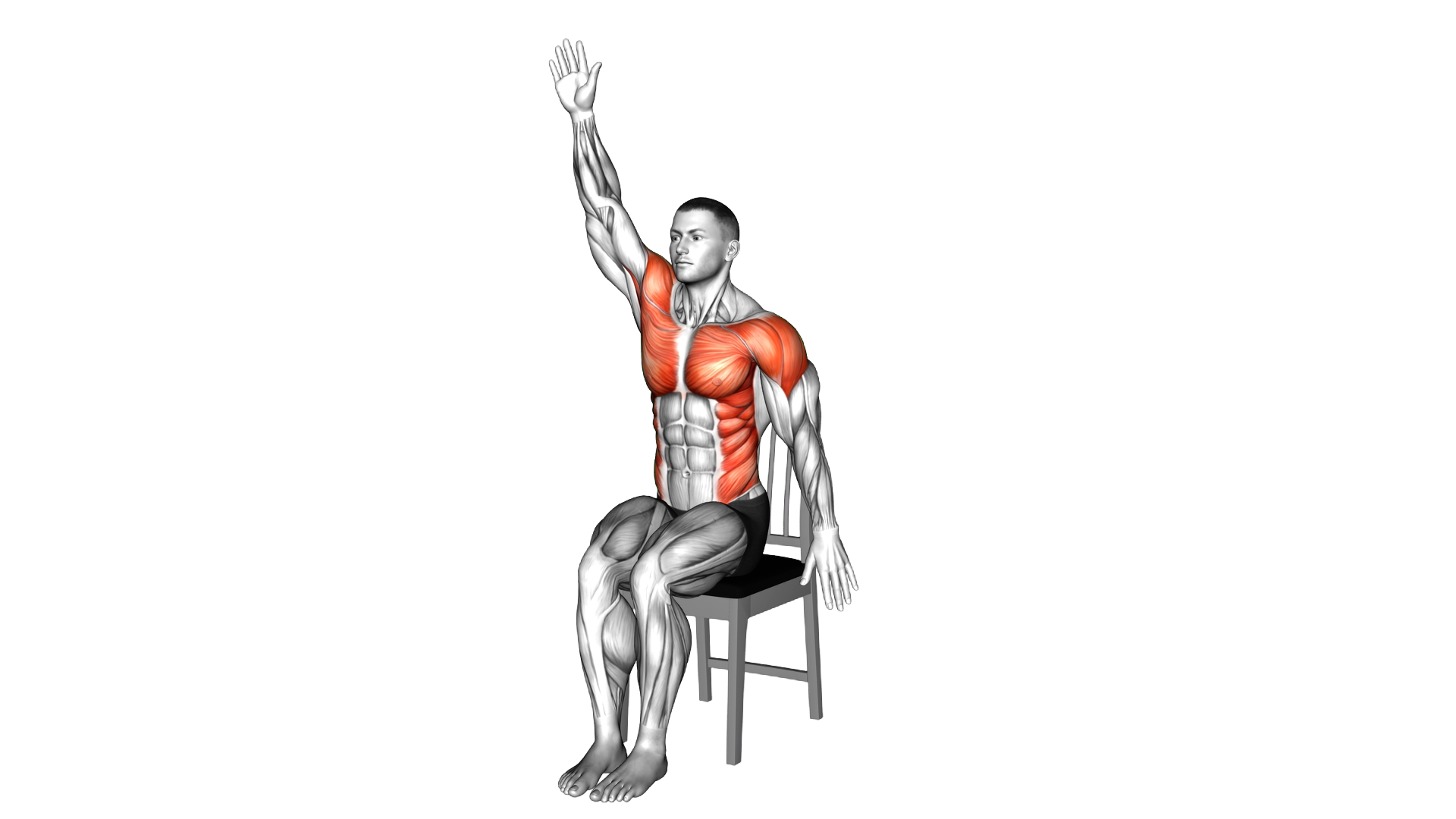 Sitting Swimmer on a Chair exercise demonstration