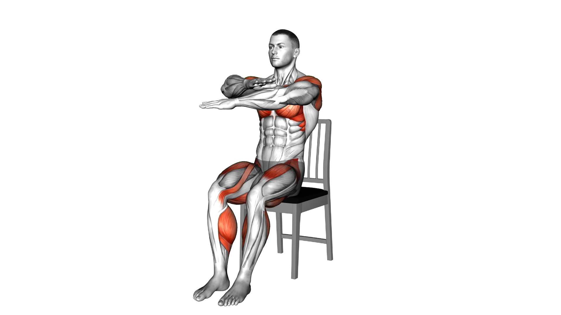 Sitting Swimming Knee Raise on a Chair exercise demonstration