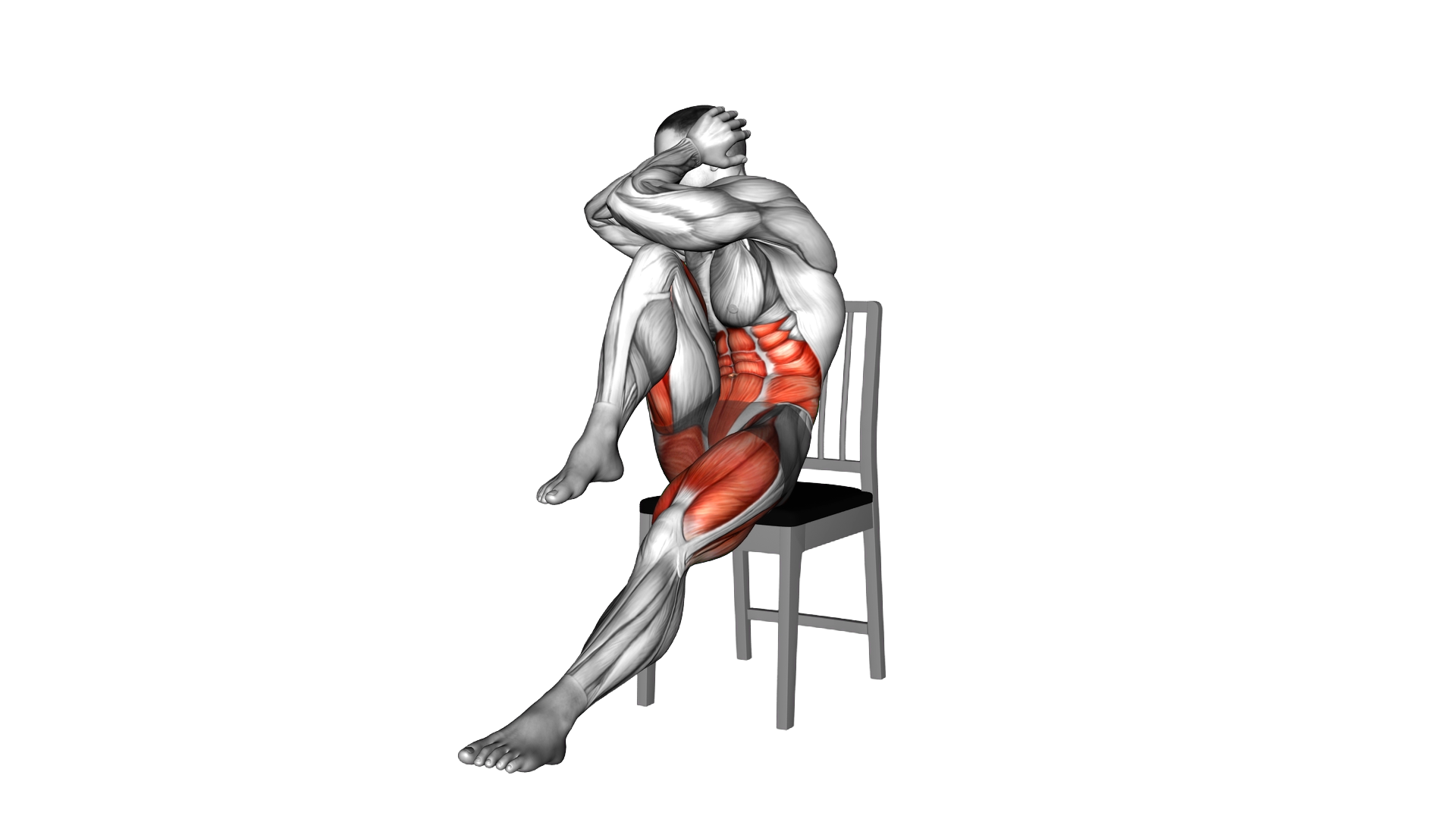 Sitting Air Bike on a Chair exercise demonstration