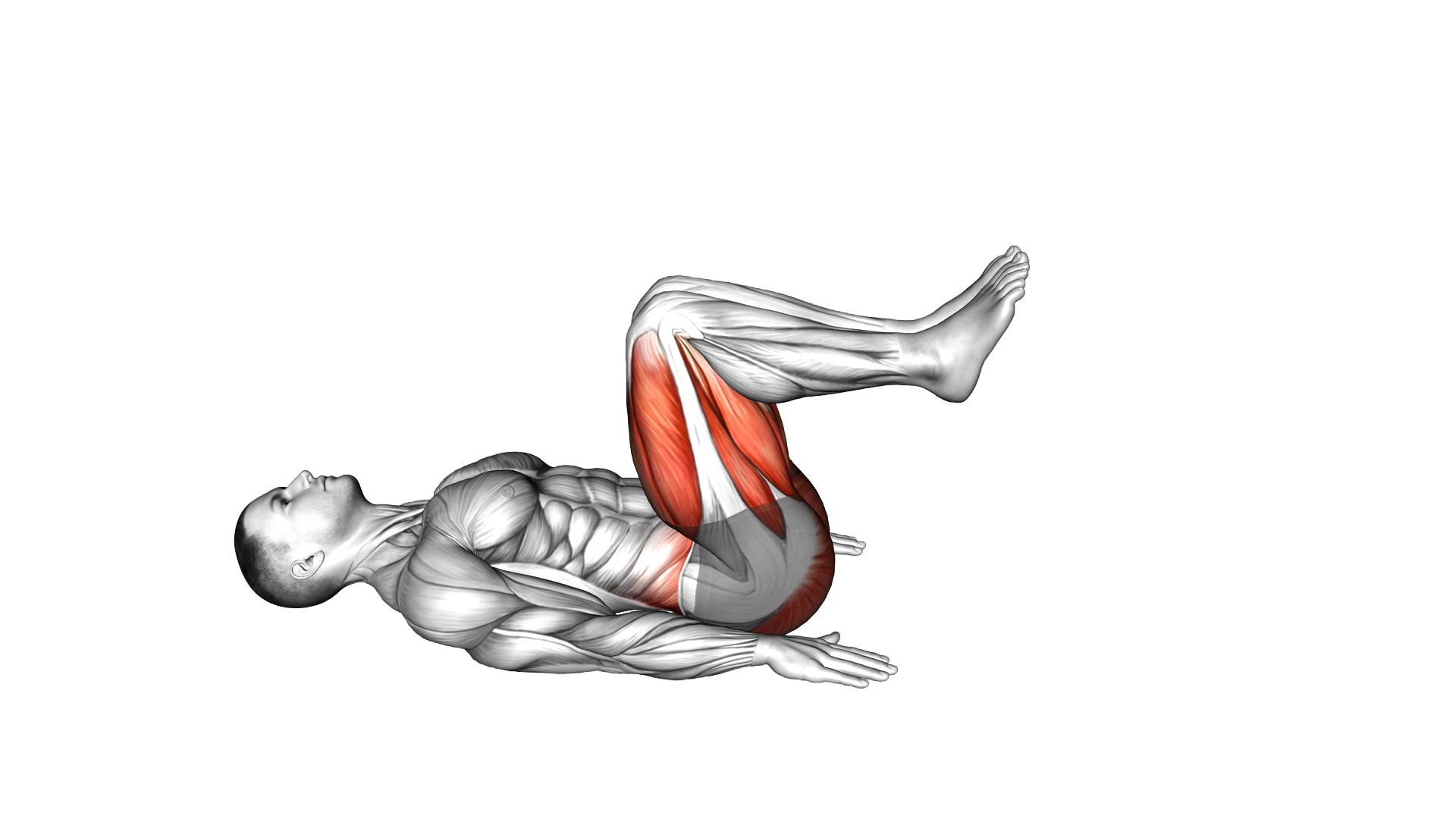 Lying 90 Degree Alternate Leg Extension exercise demonstration