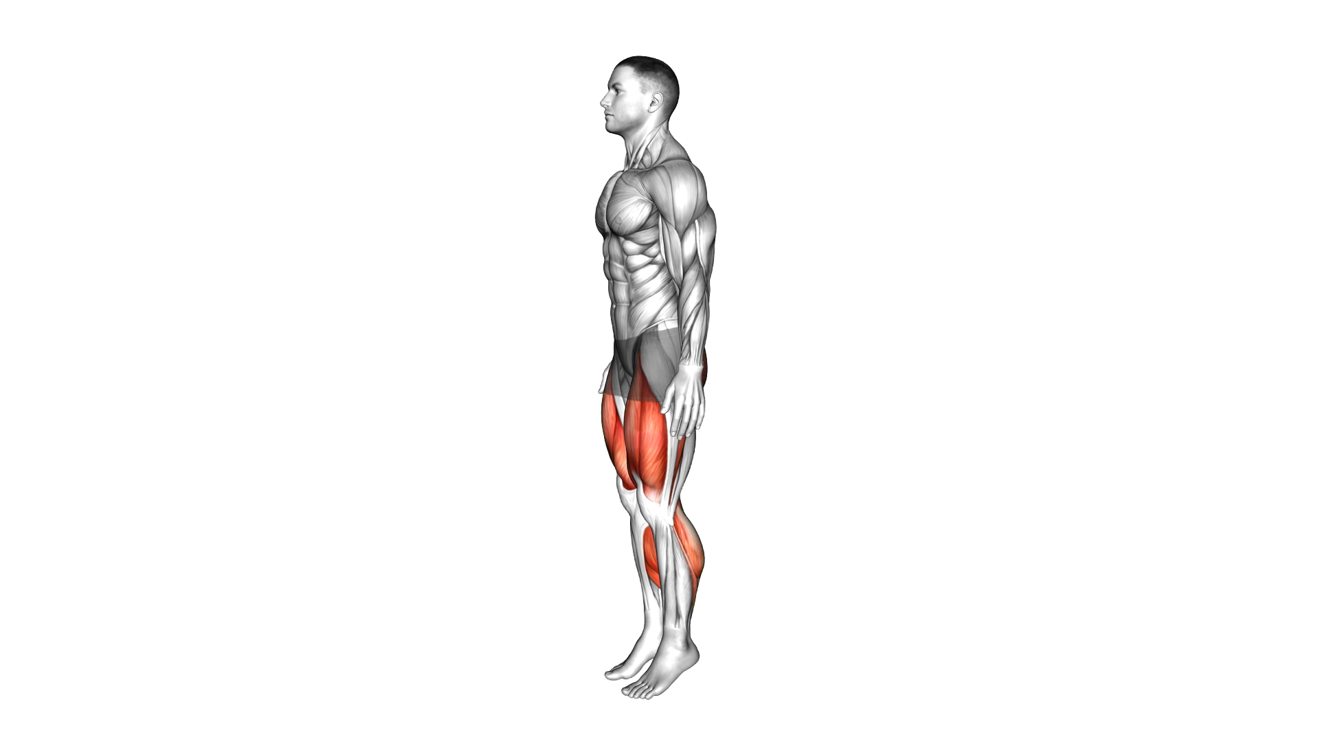 Deep Knee Bend exercise demonstration