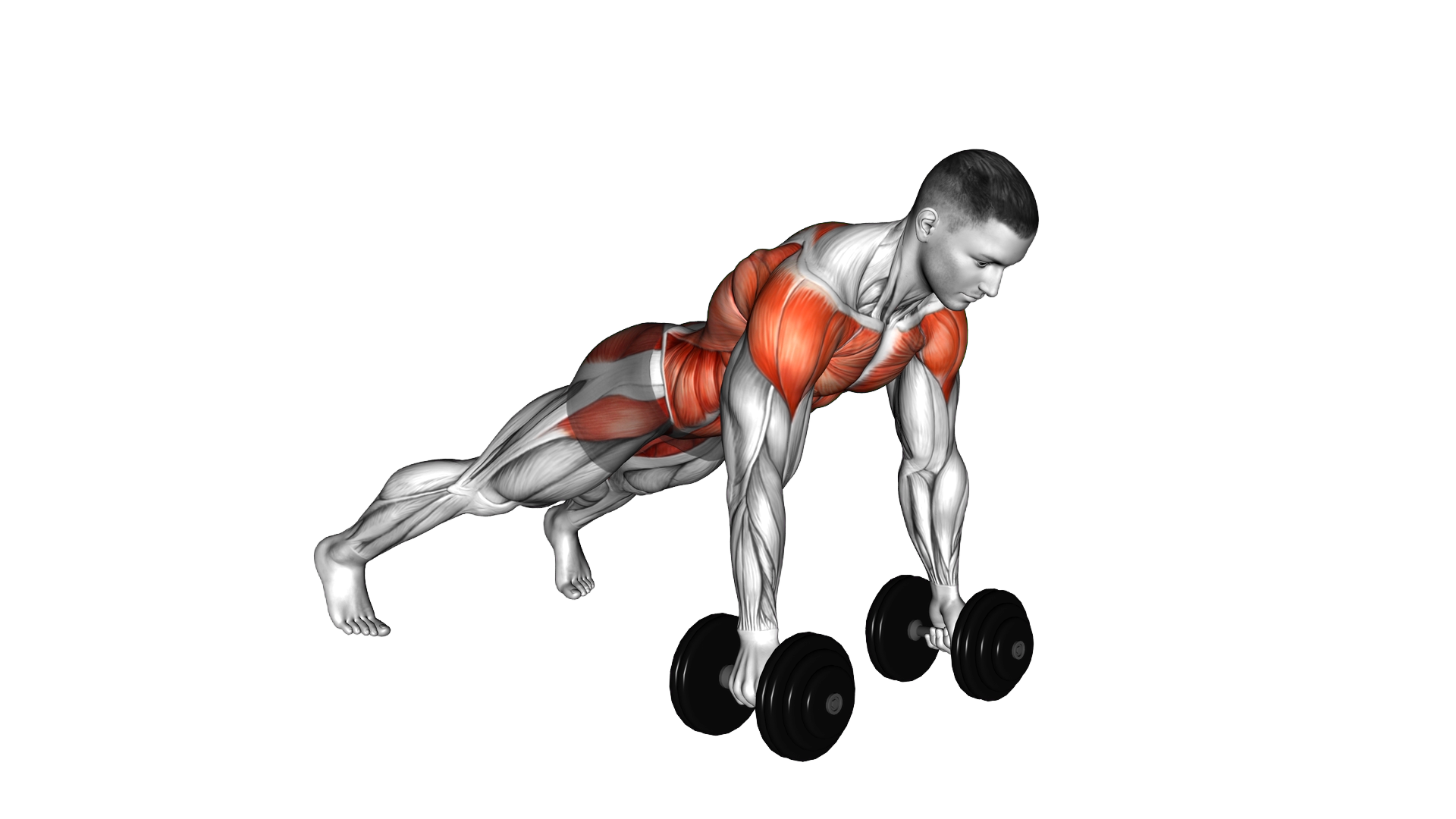 Dumbbell Lateral Raise Plank exercise demonstration