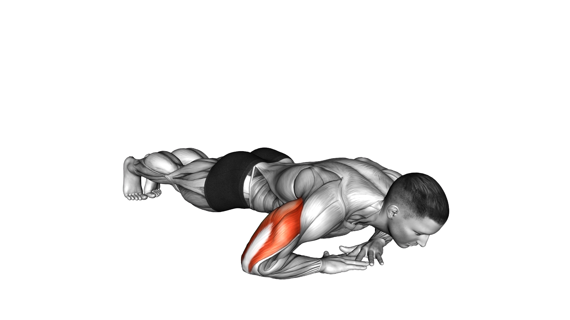 Cross Arms Triceps Extension exercise demonstration