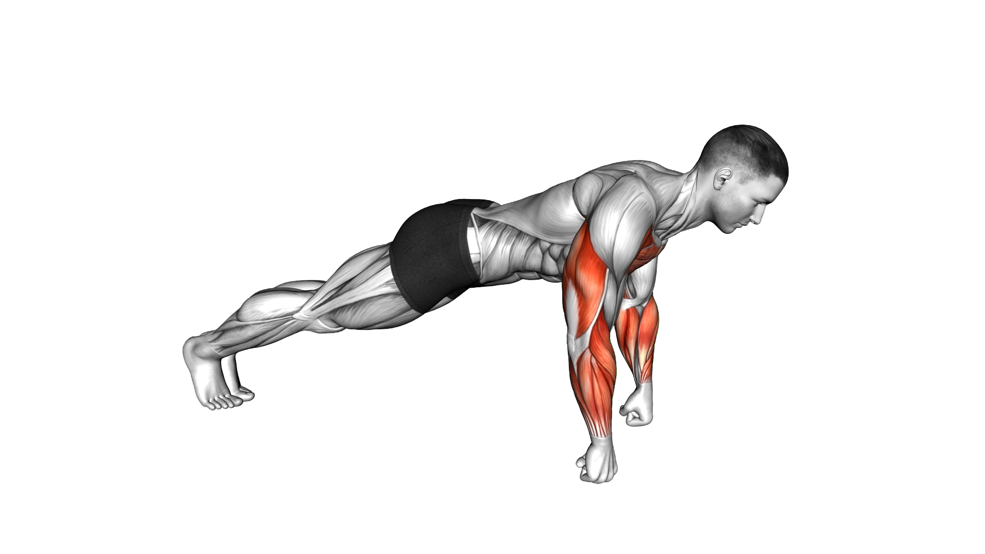 Fist Push up exercise demonstration
