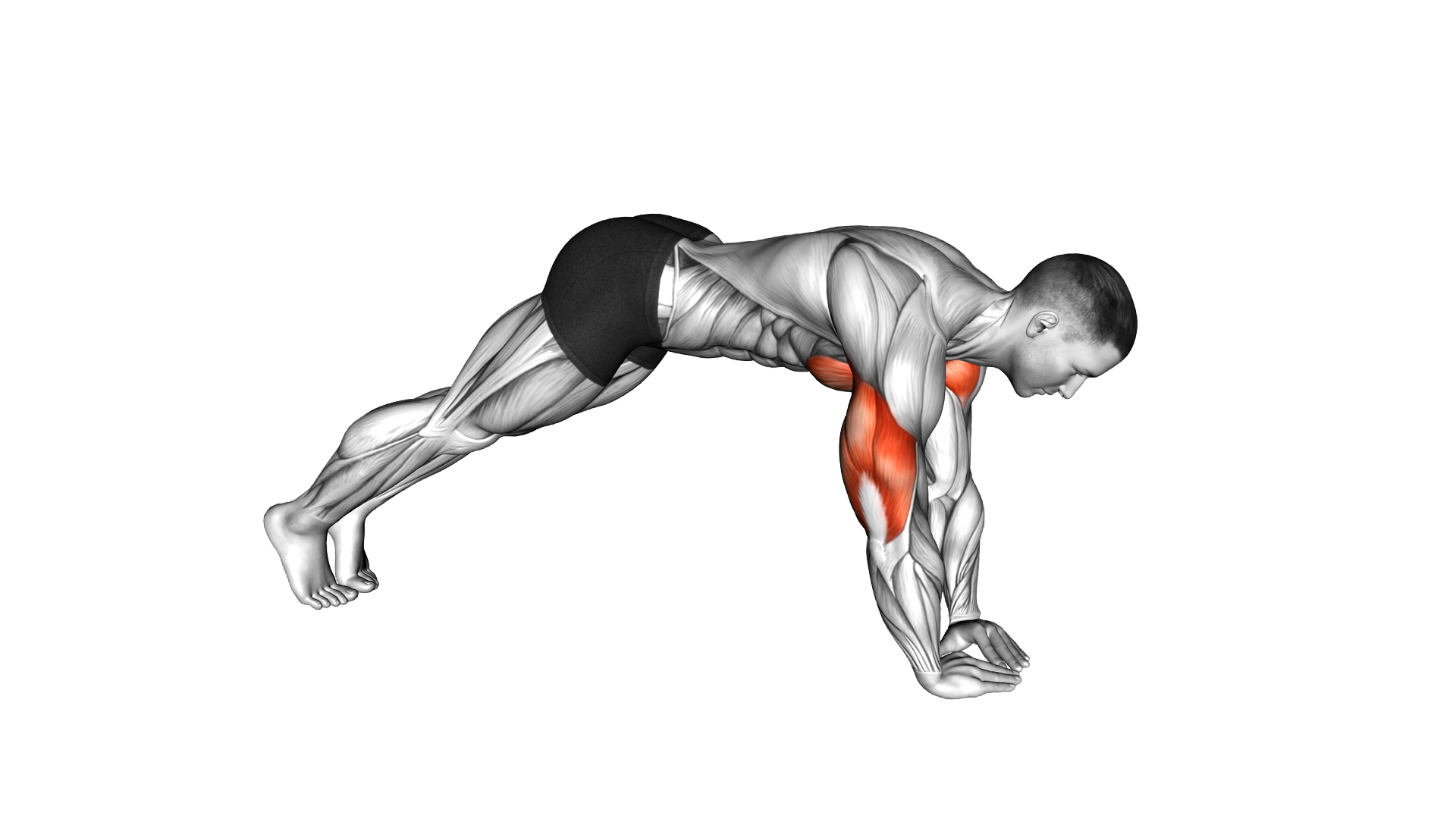 Bodyweight Skullcrusher exercise demonstration