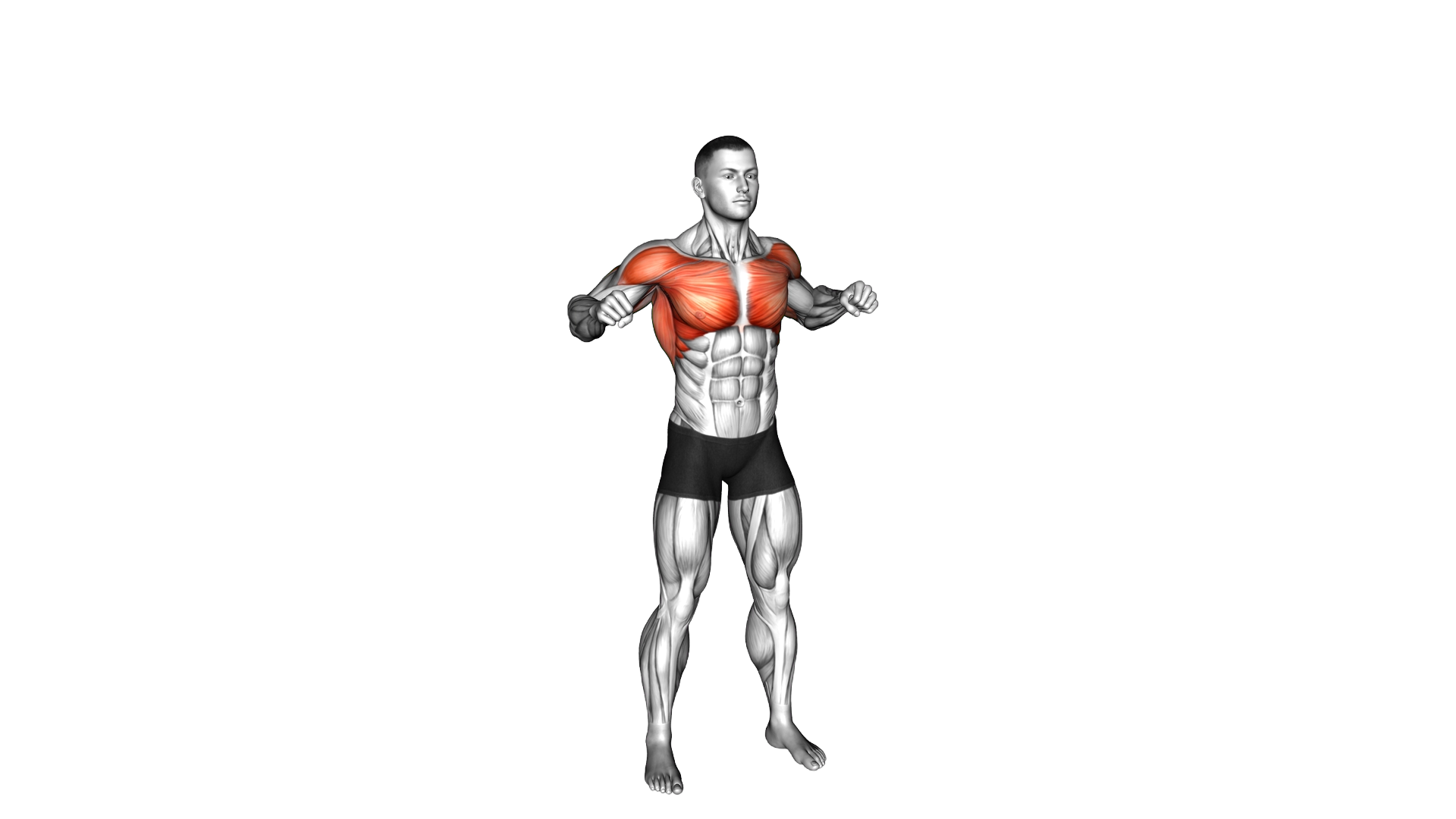 Standing Top Grab Front Grab exercise demonstration