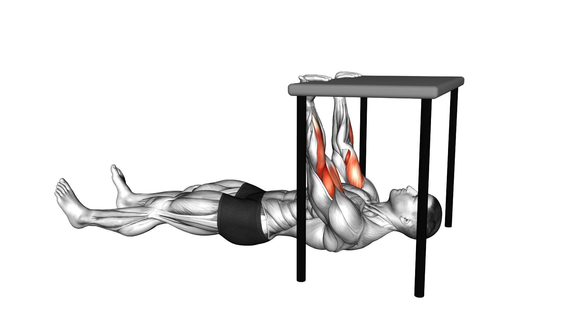 Biceps Curl under Table exercise demonstration