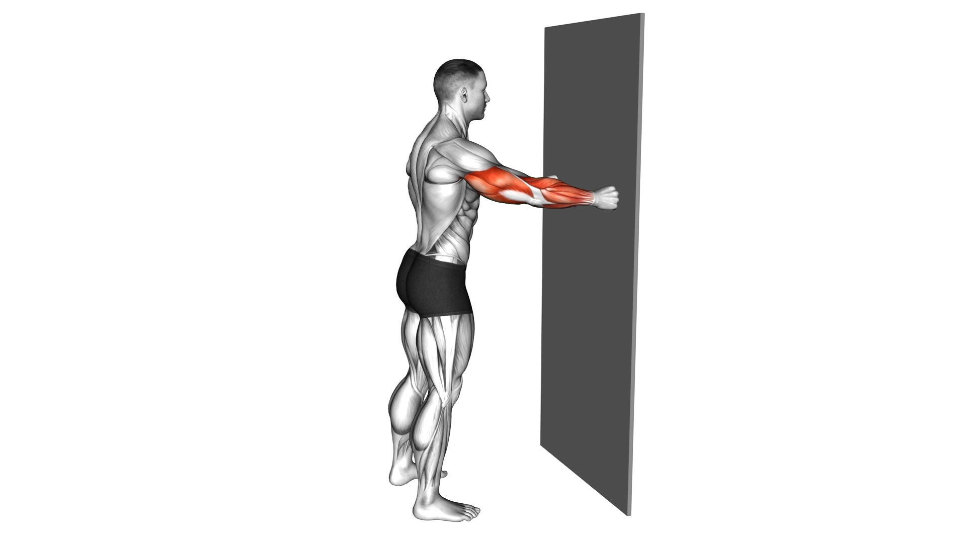 Knuckle Push up against Wall exercise demonstration