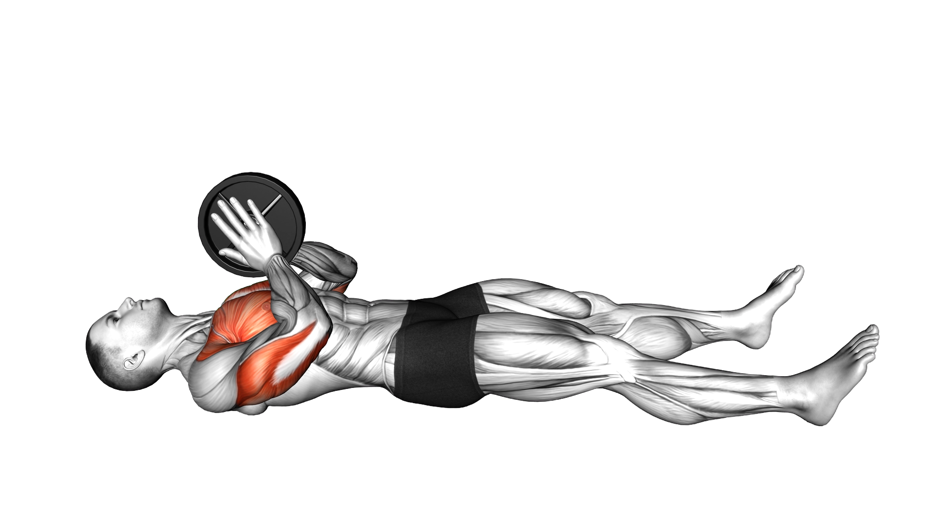 Weighted Lying Svend Press exercise demonstration