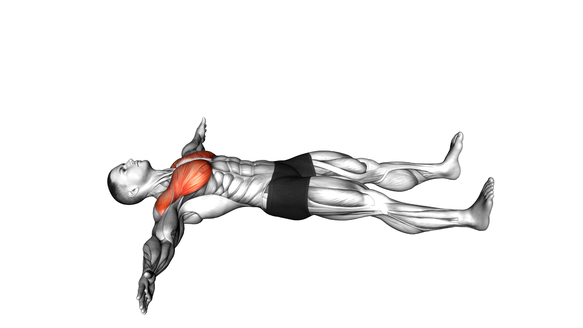 Lying Arm Crossover exercise demonstration