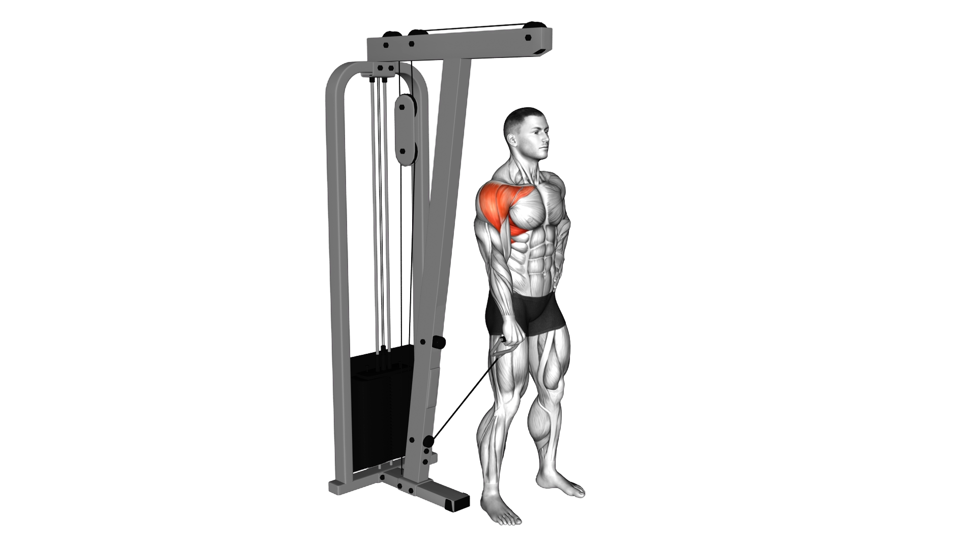 Cable One Arm Front Raise exercise demonstration