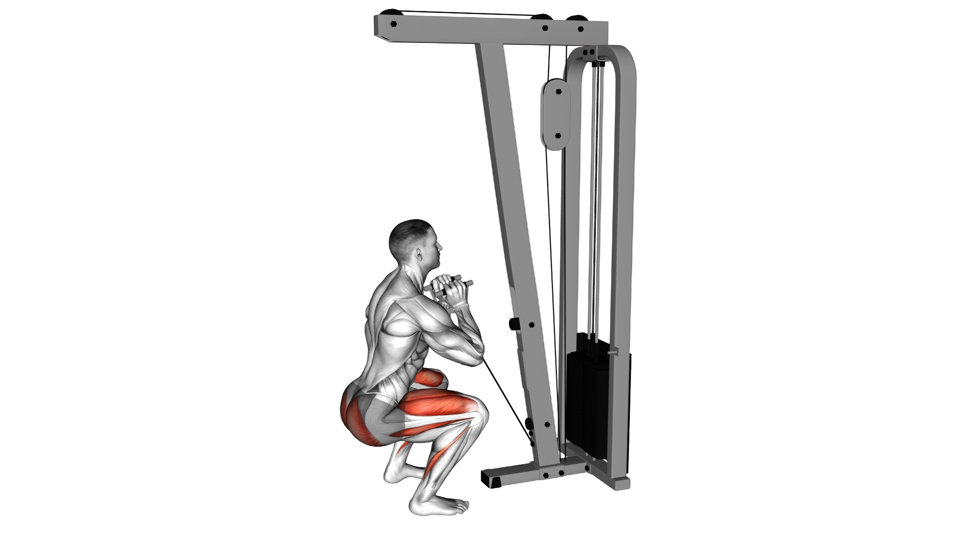 Cable Goblet Squat exercise demonstration