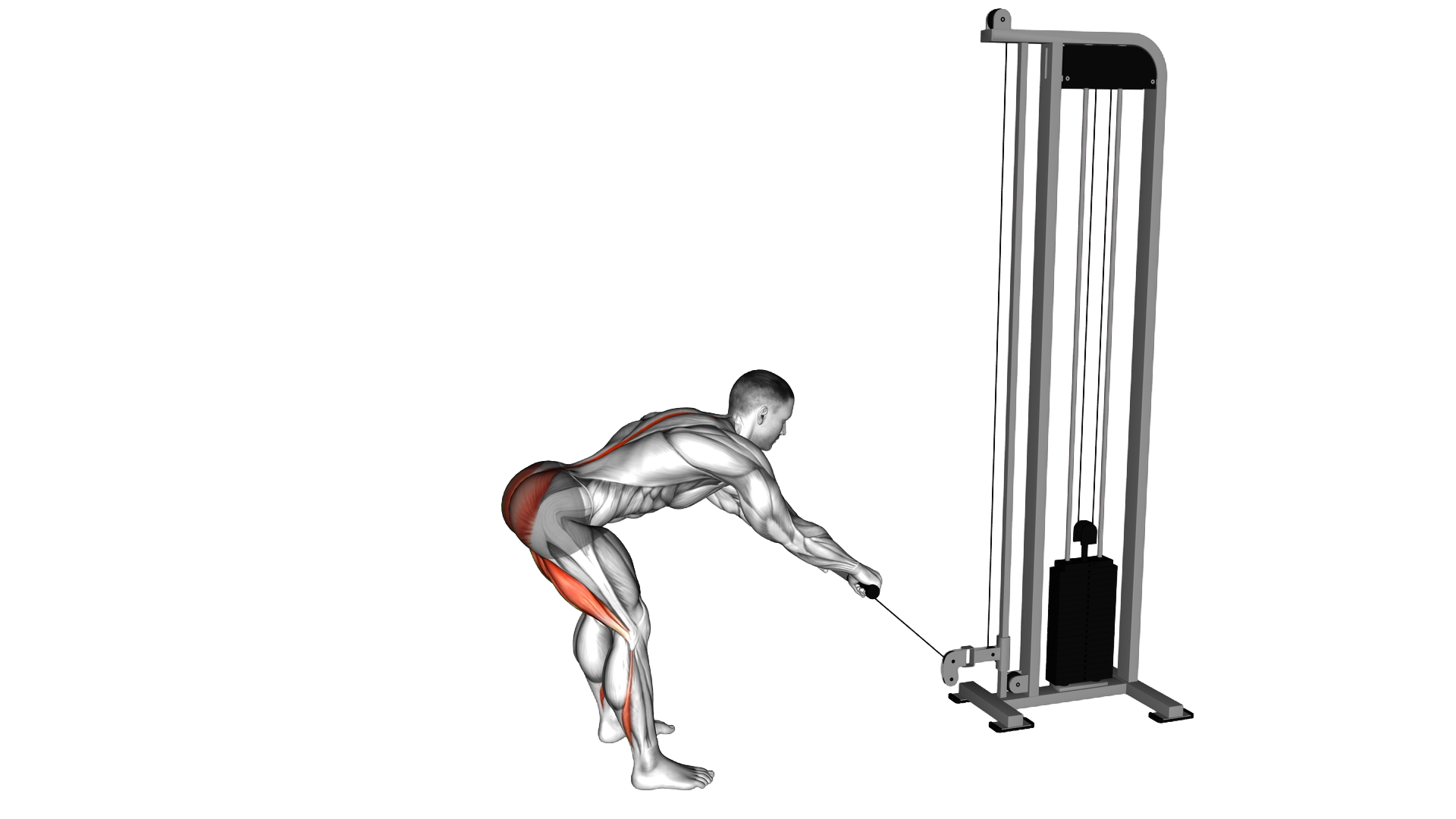 Cable Romanian Deadlift exercise demonstration
