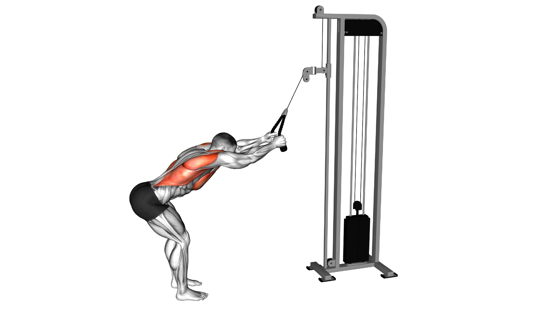 Cable Straight Arm Pulldown (with rope attachment) exercise demonstration