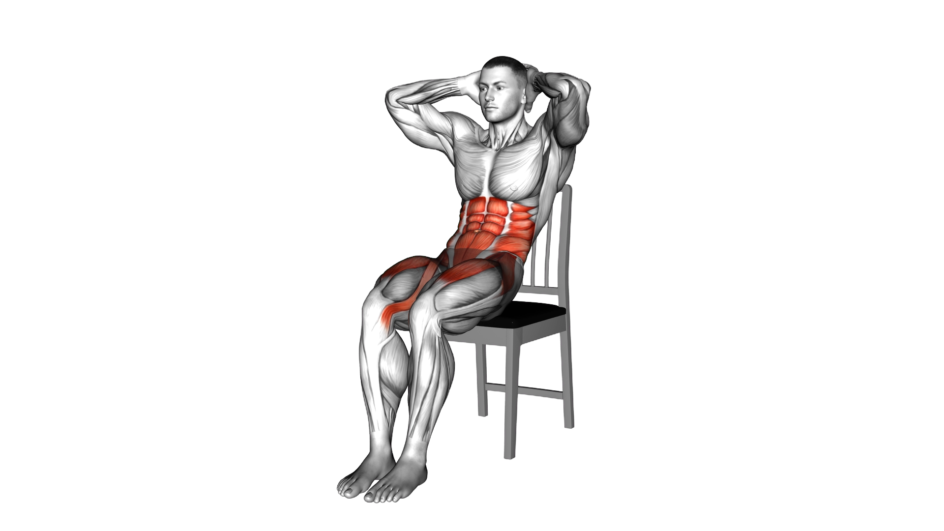 Seated Air Bike on a Chair exercise demonstration