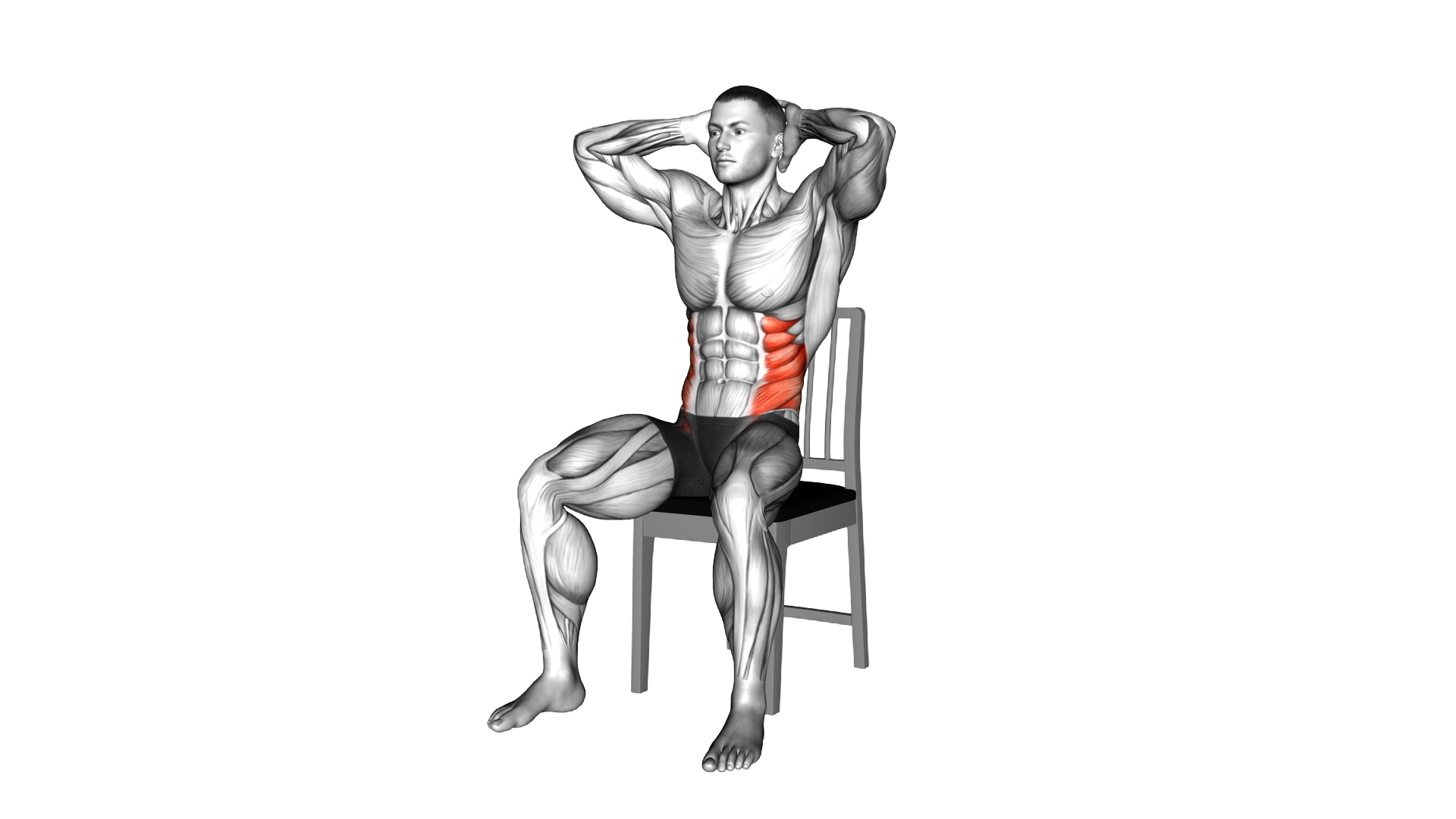 Seated Upright Twists on a Chair exercise demonstration