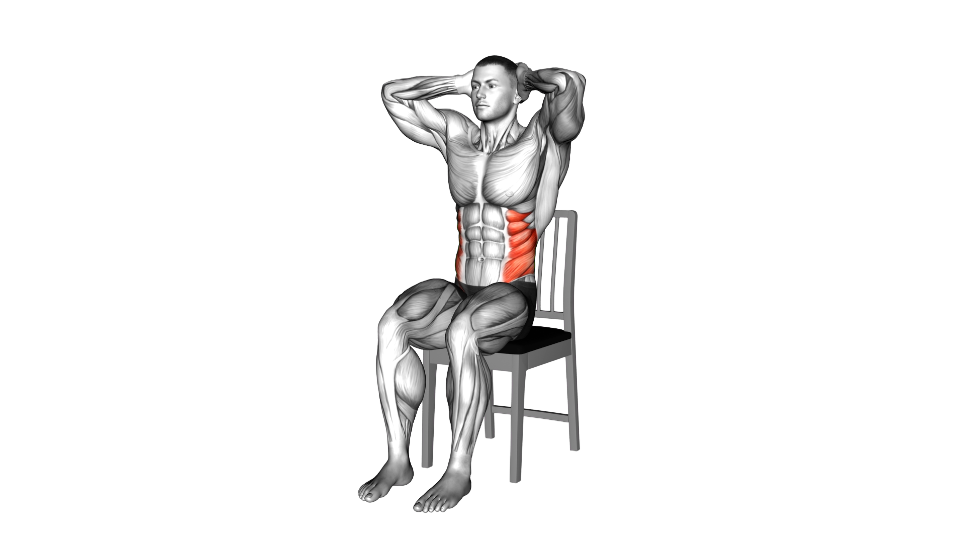 Seated Side Bend on a Chair exercise demonstration