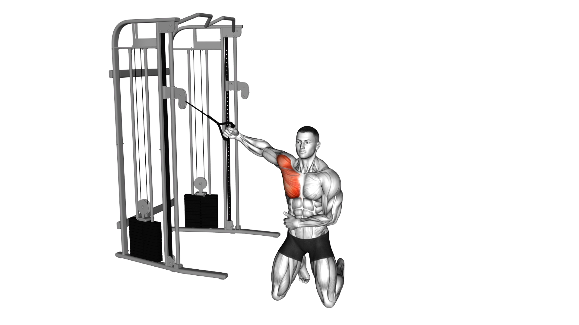 Cable Kneeling Single Arm Fly exercise demonstration