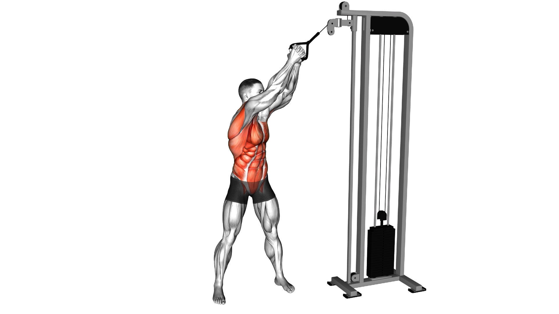 Cable High to Low Woodchopper exercise demonstration