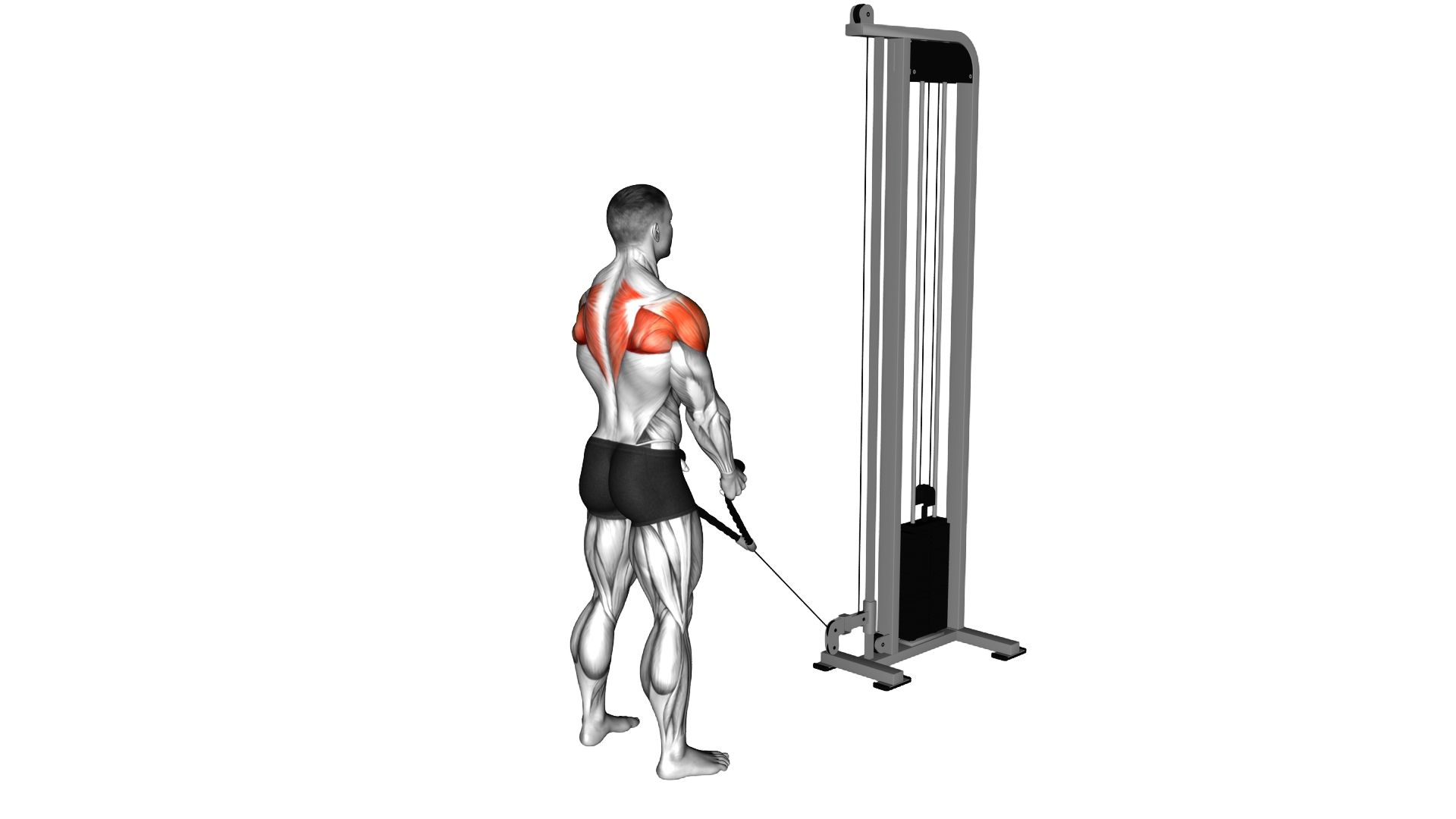 Cable Standing Y raises (with rope attachment) (ma exercise demonstration