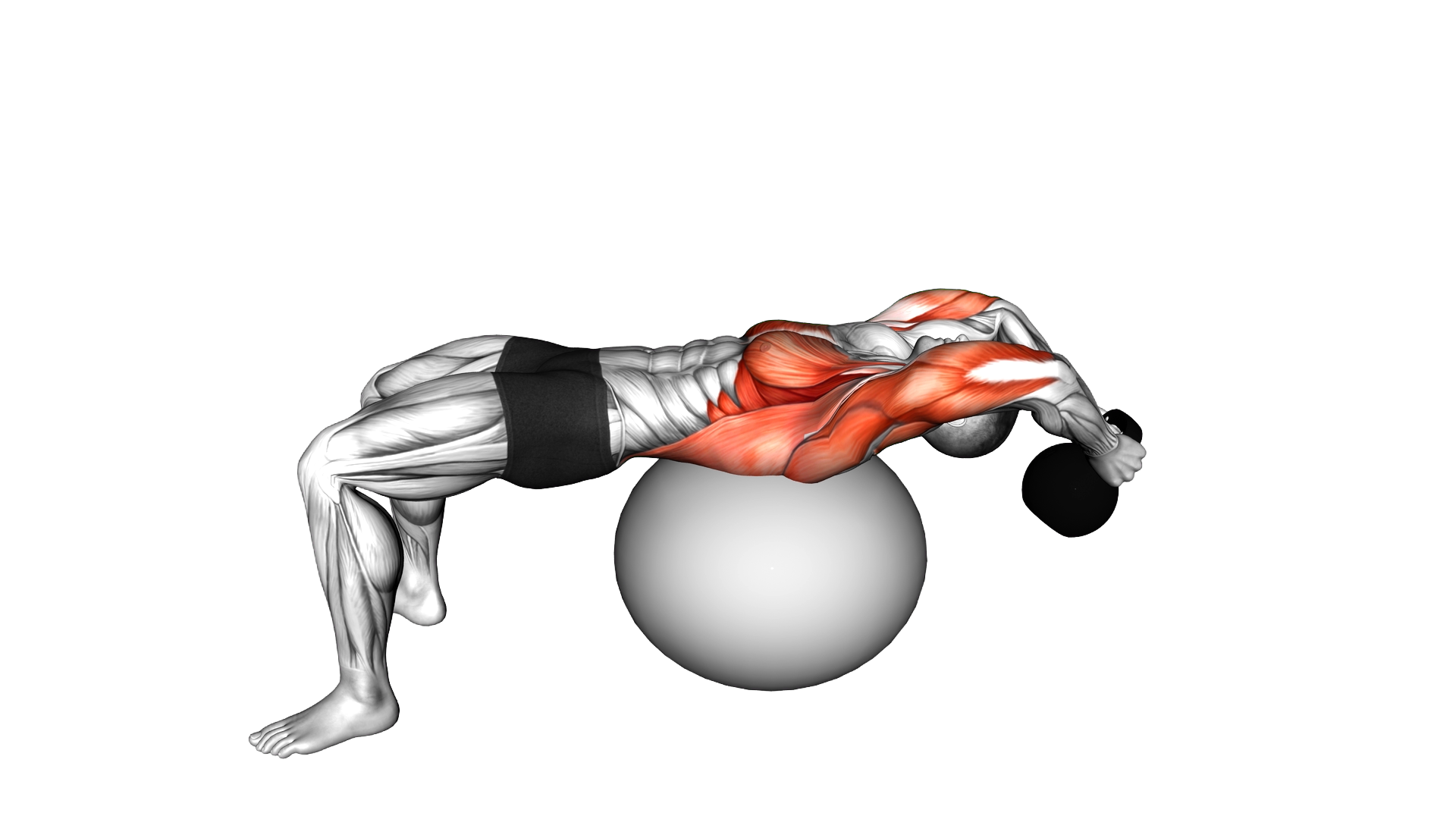Kettlebell Pullover on Stability Ball exercise demonstration