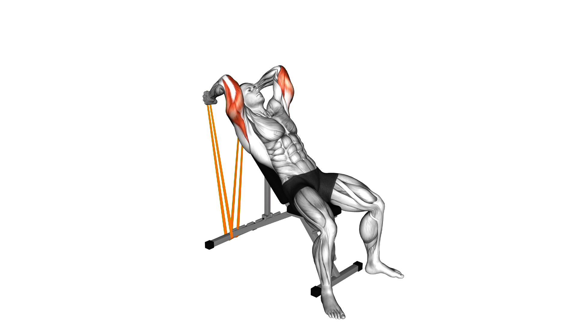 Resistance Band Incline Triceps Extension exercise demonstration