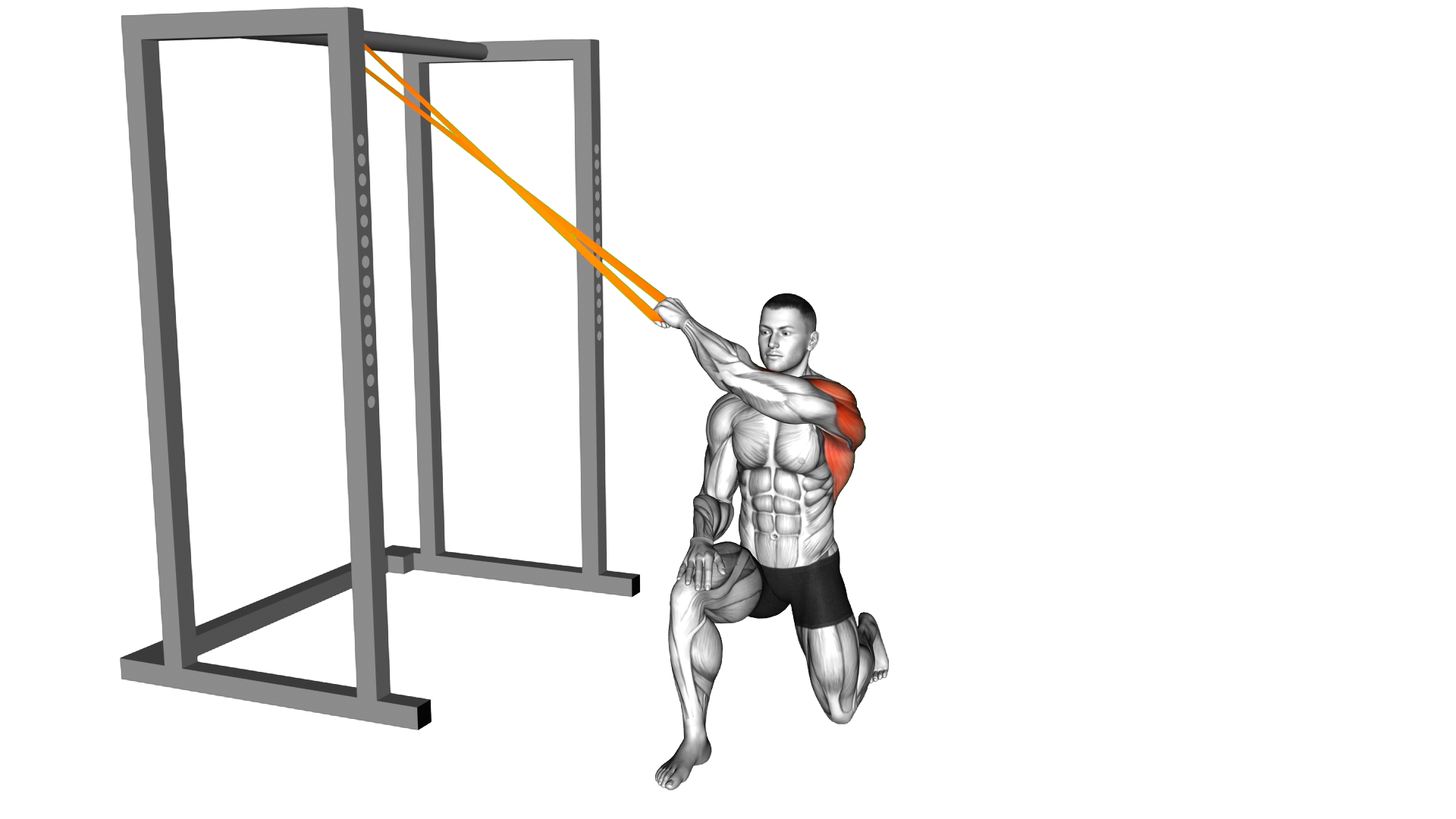 Resistance Band Kneeling Cross Body Lat Pulldown ( exercise demonstration