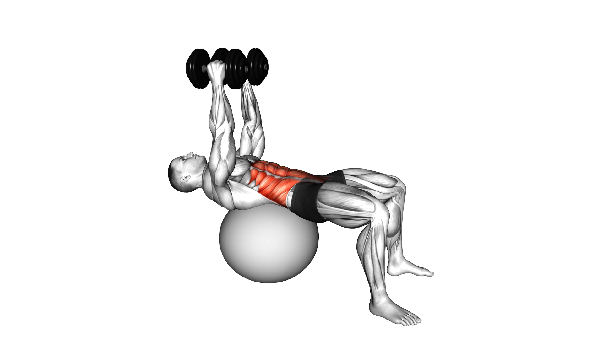 Dumbbell Overhead Crunch (on stability ball) exercise demonstration