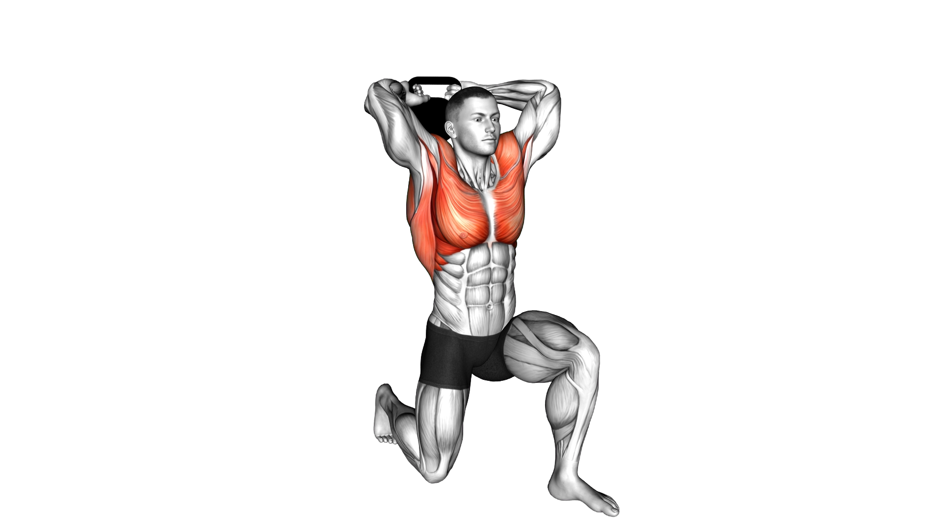 Kettlebell Half Kneeling Halo exercise demonstration
