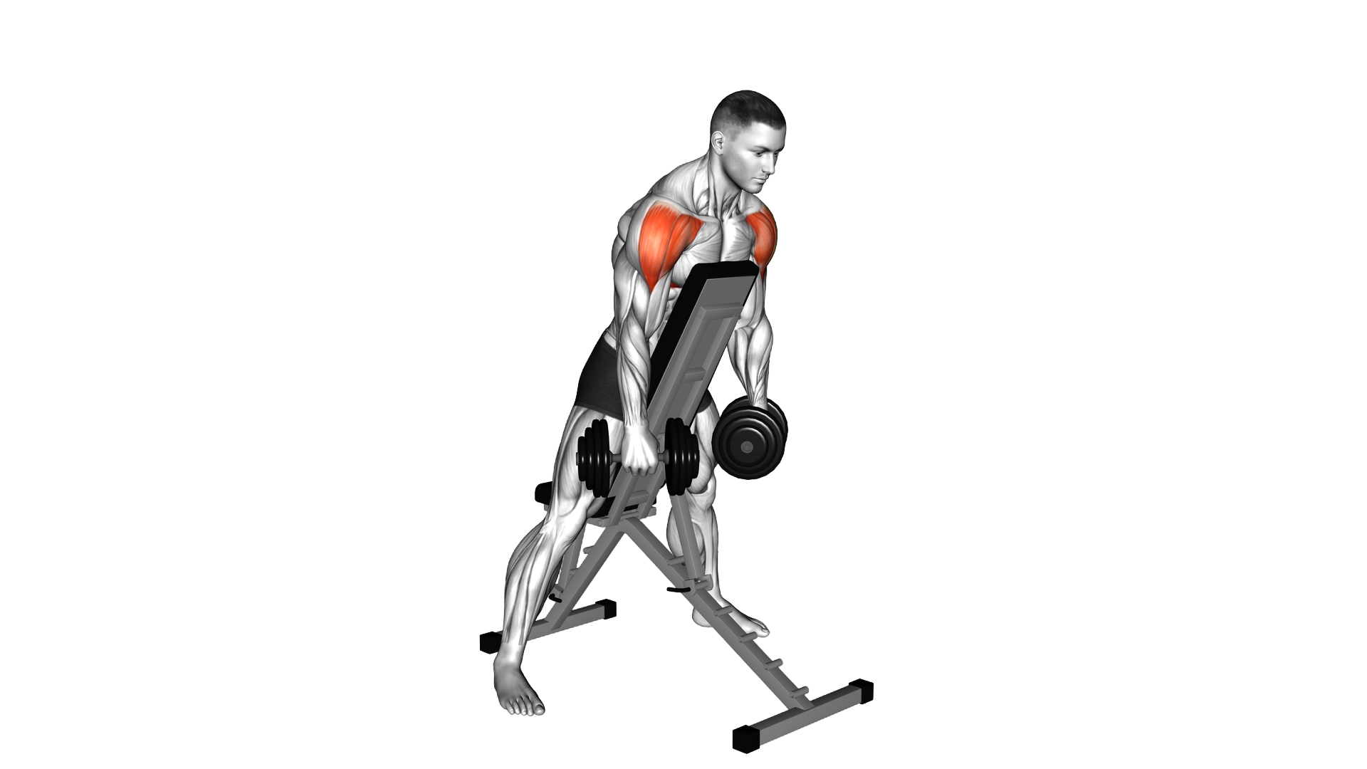 Dumbbell Standing Prone Lateral Raise exercise demonstration