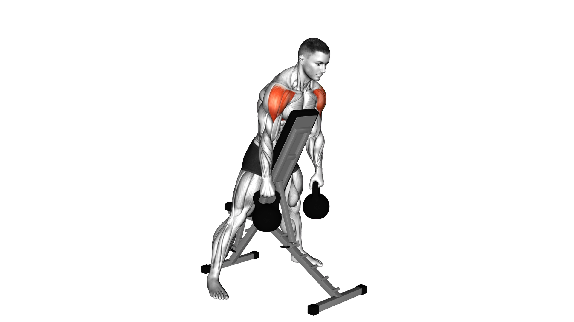 Kettlebell Standing Prone Lateral Raise exercise demonstration