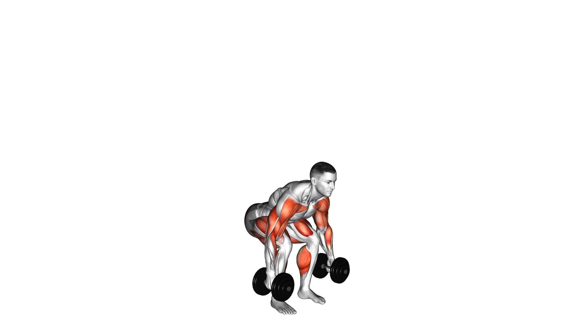 Dumbbell Hang Clean and Press exercise demonstration