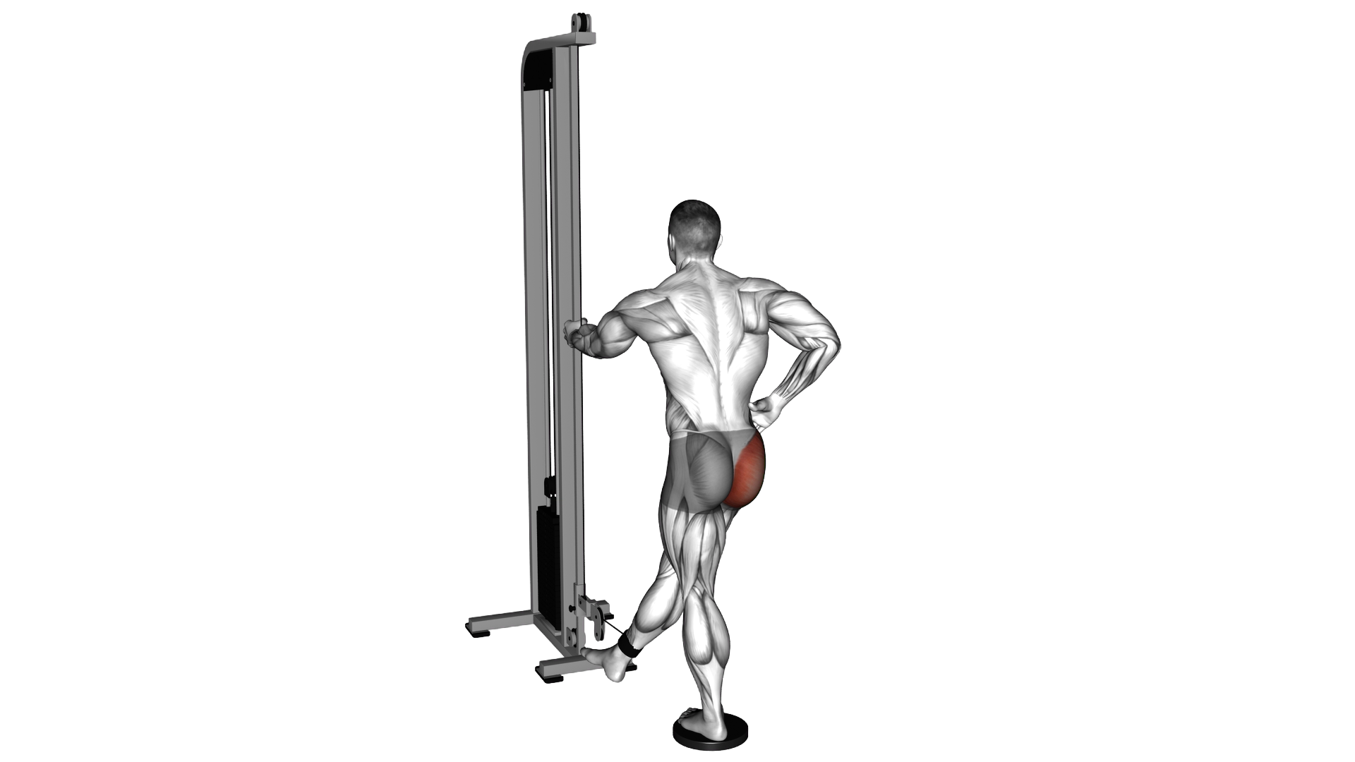 Cable Straight Leg Diagonal Kickback exercise demonstration