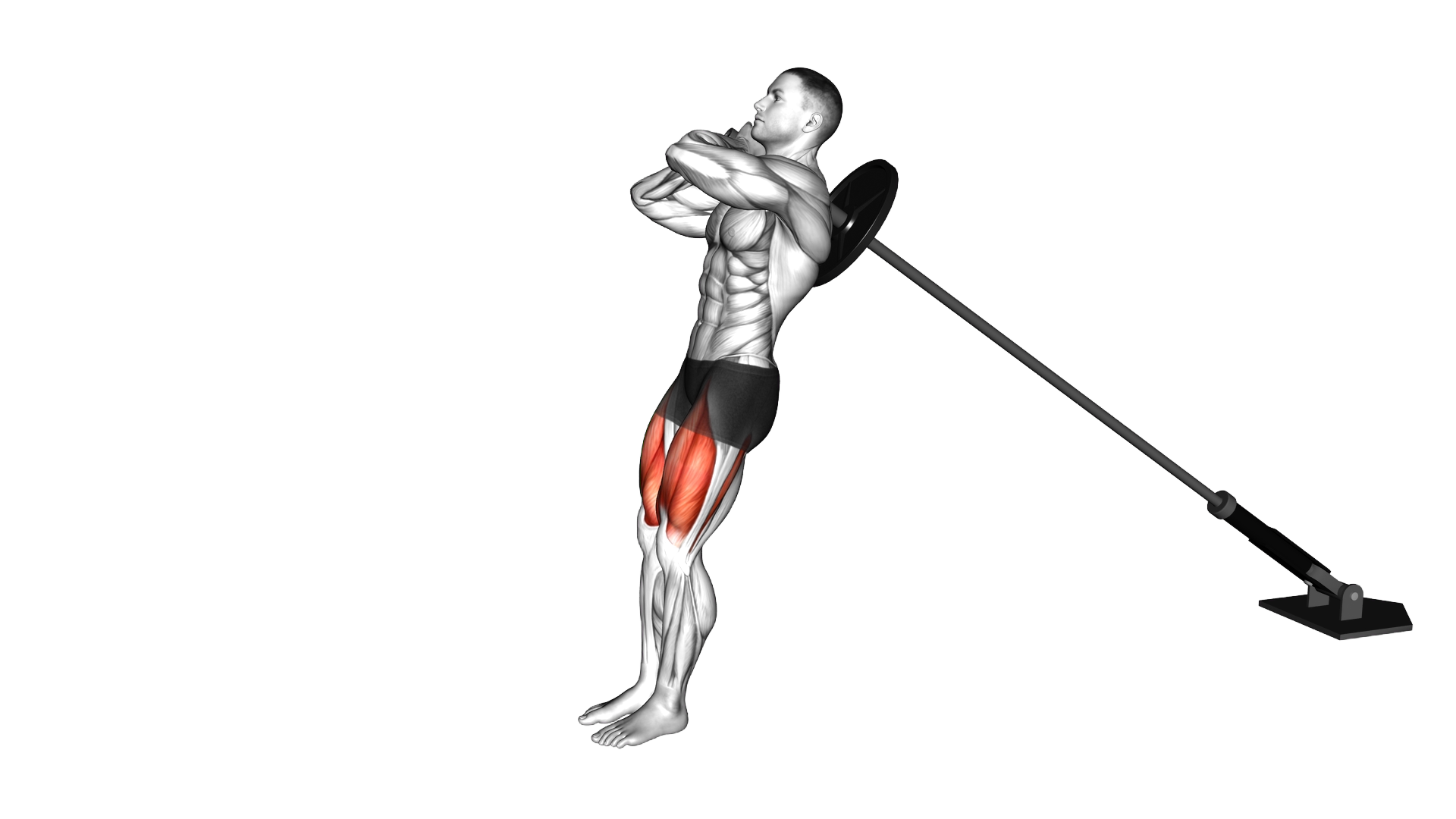 Landmine Sissy Squat exercise demonstration