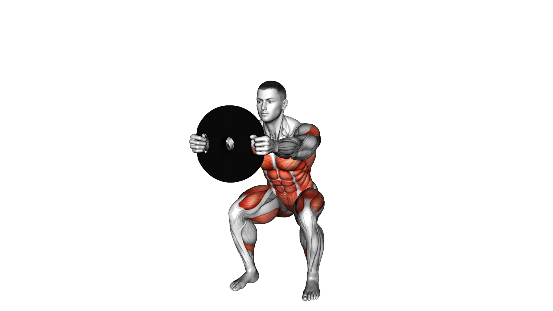 Weighted Plate Side Twist from Squat exercise demonstration