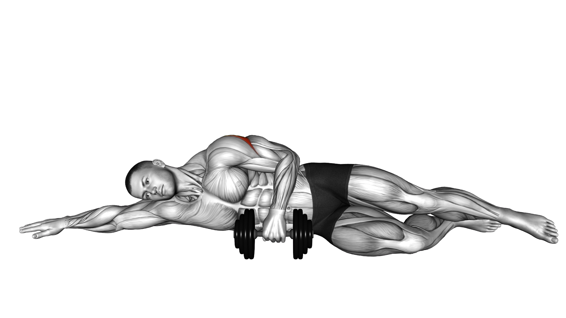 Dumbbell Lying External Shoulder Rotation exercise demonstration