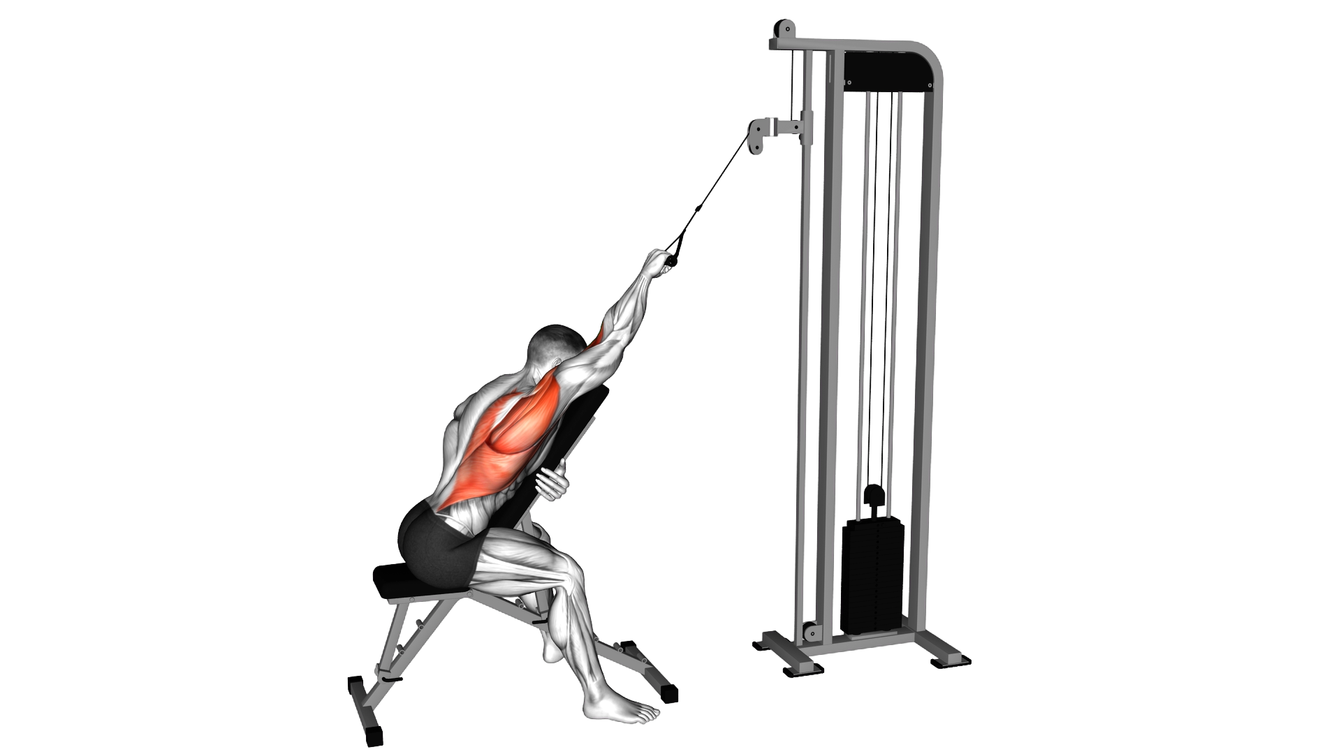 Cable Incline Single Arm Lat Pulldown exercise demonstration