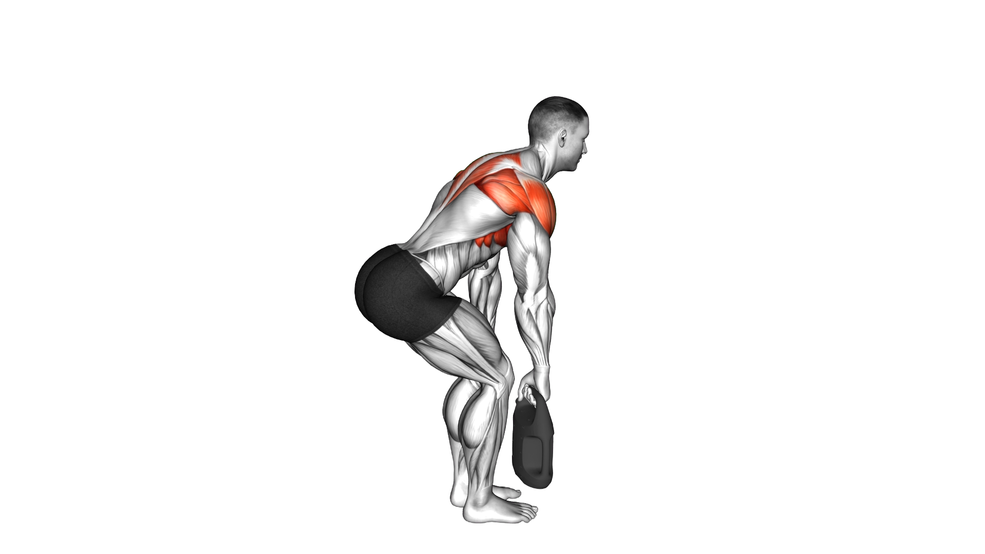 Bottle Weighted Bent over Y Raise exercise demonstration