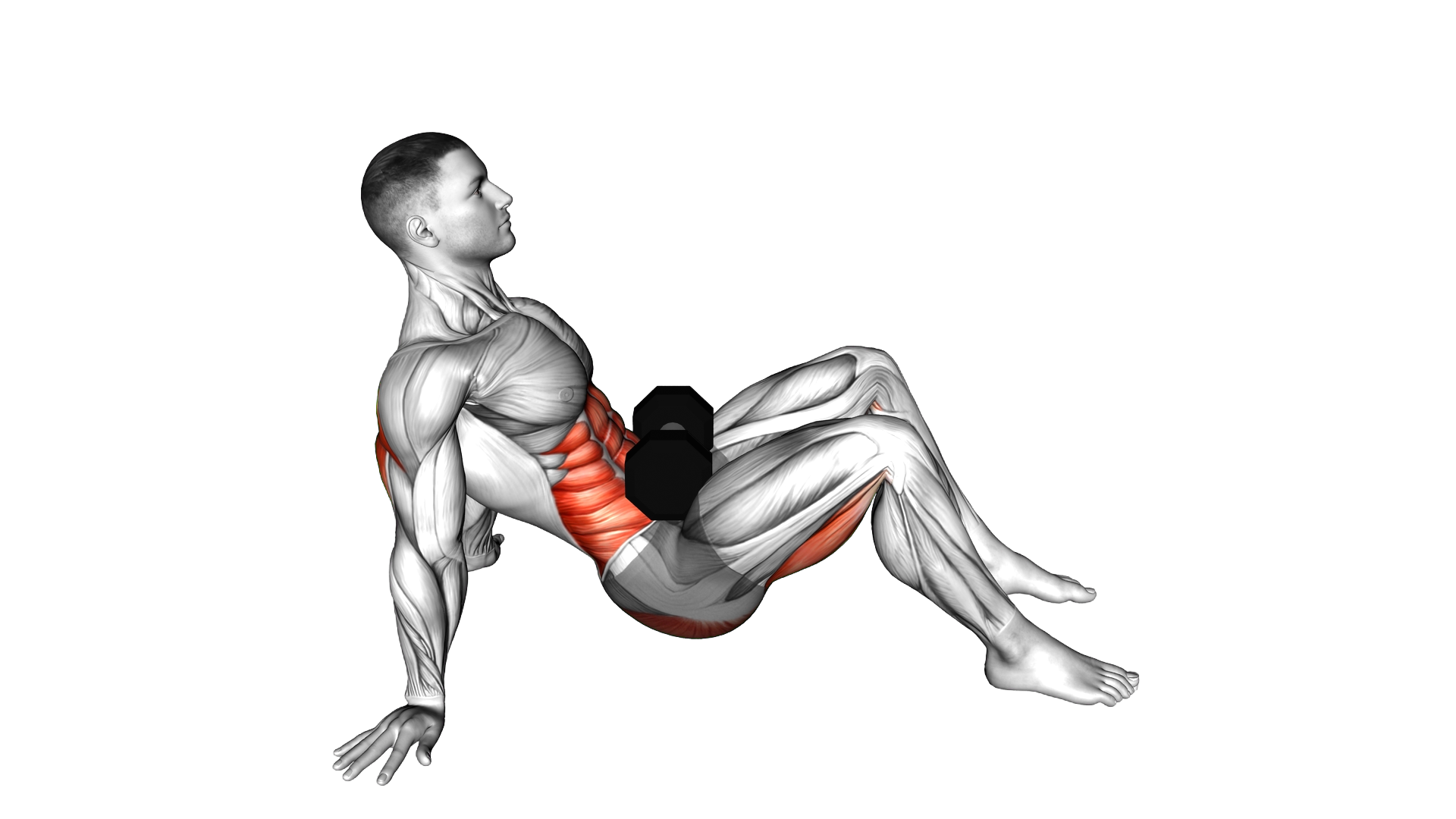 Weighted Dumbbell Table Top Bridge exercise demonstration