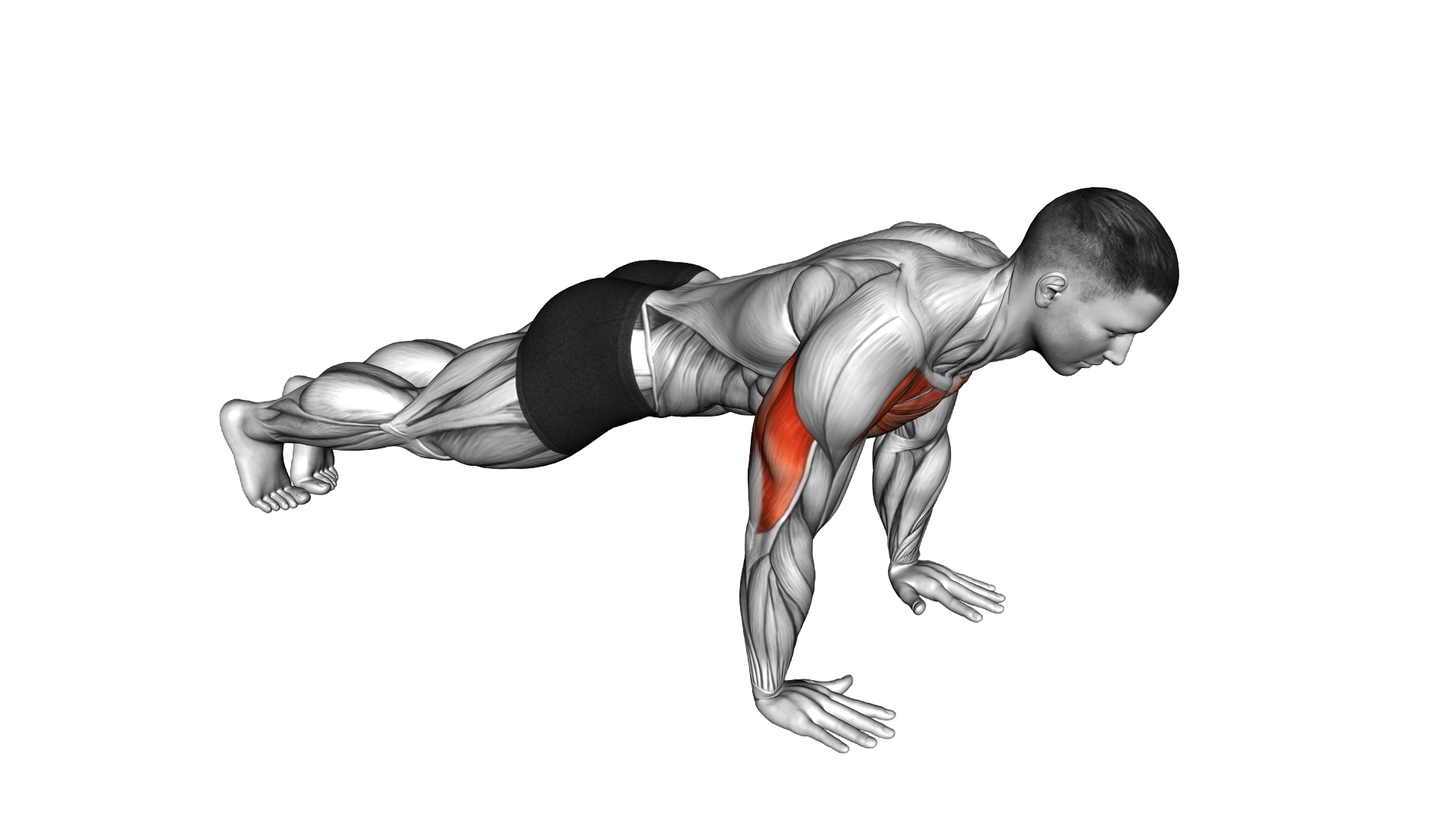 Deep Push Up Hold exercise demonstration